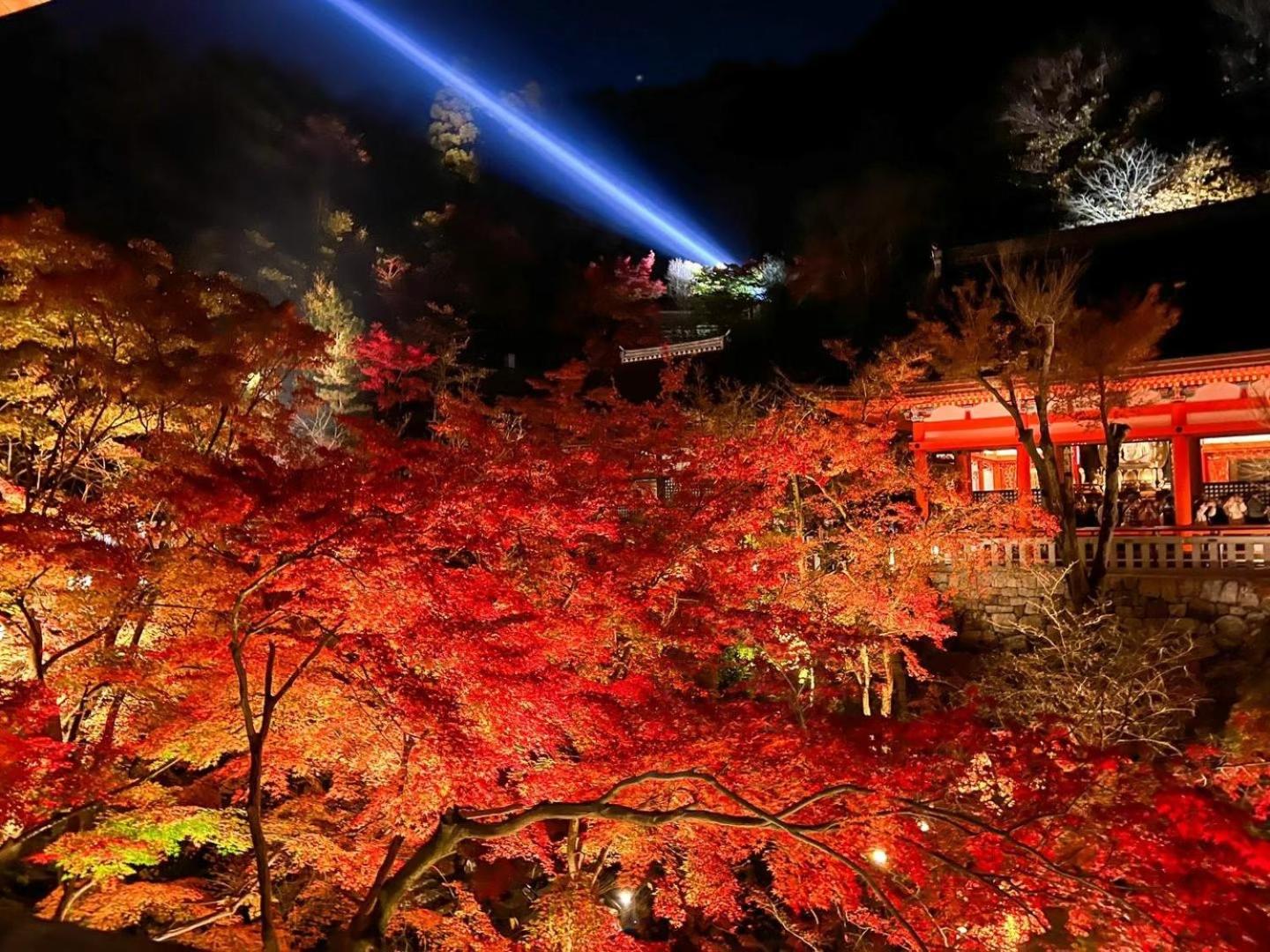 Rinn Yasaka Kodaiji