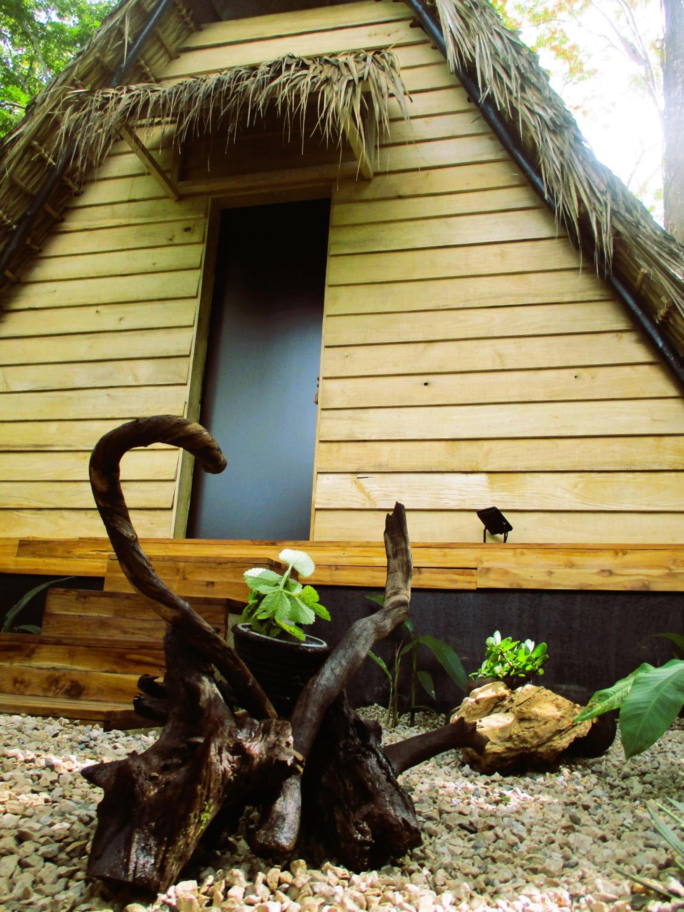 Cabinas de Lou Eco Lodge TAMARINDO
