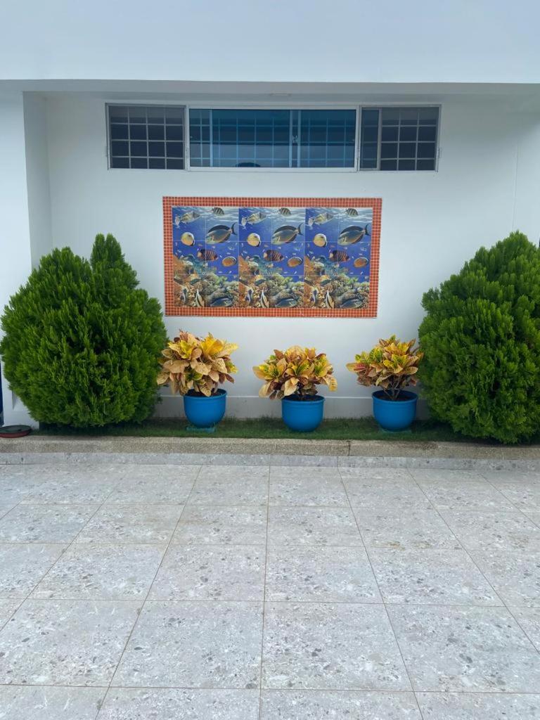 The blue house