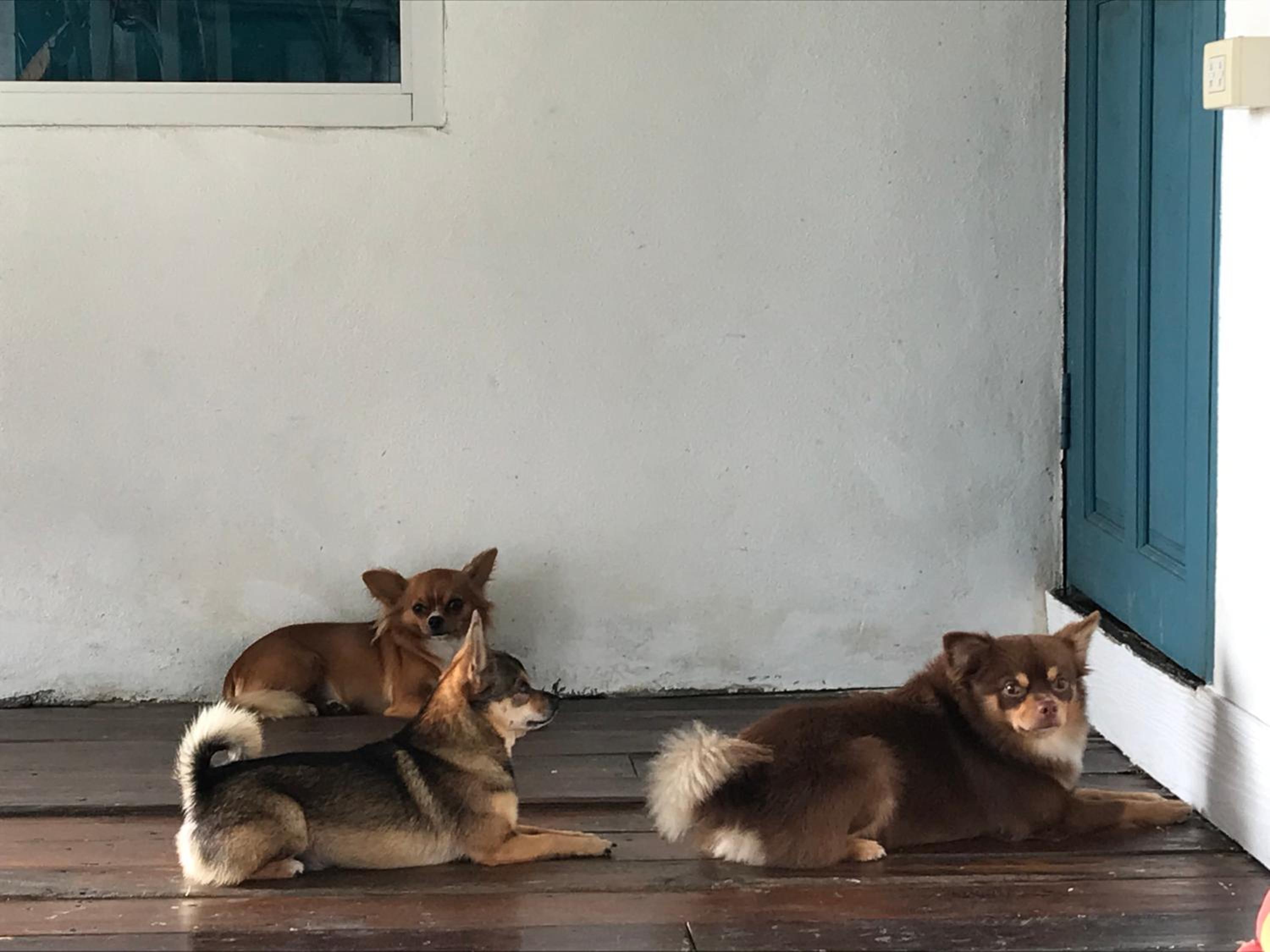 Ban Narai River Guesthouse