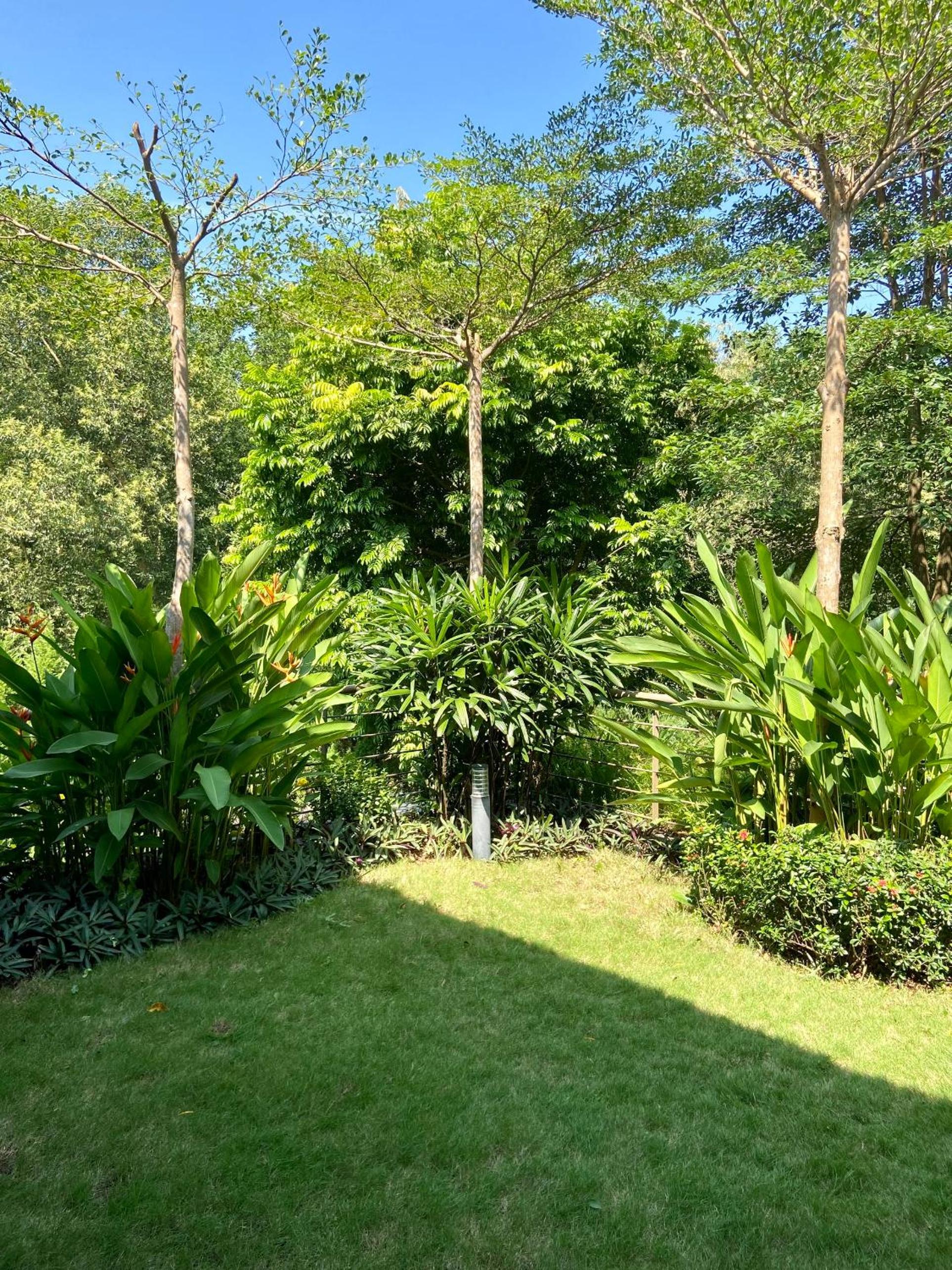 Photo 19