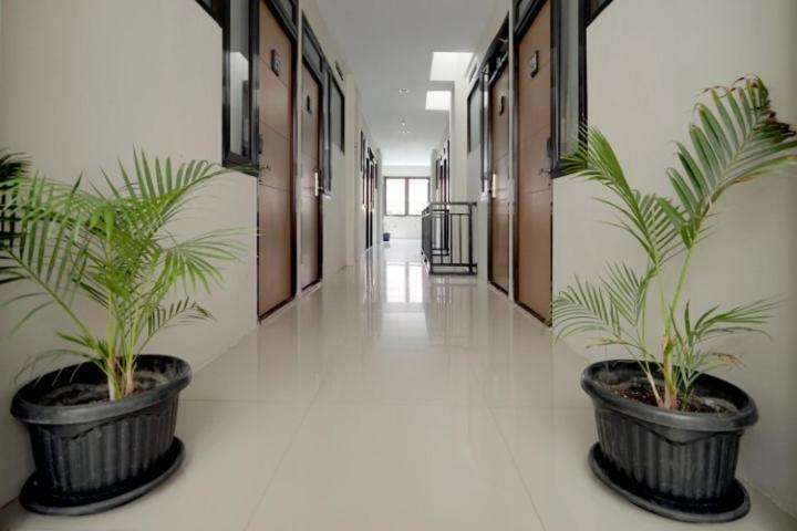 DPARAGON SETURAN 2