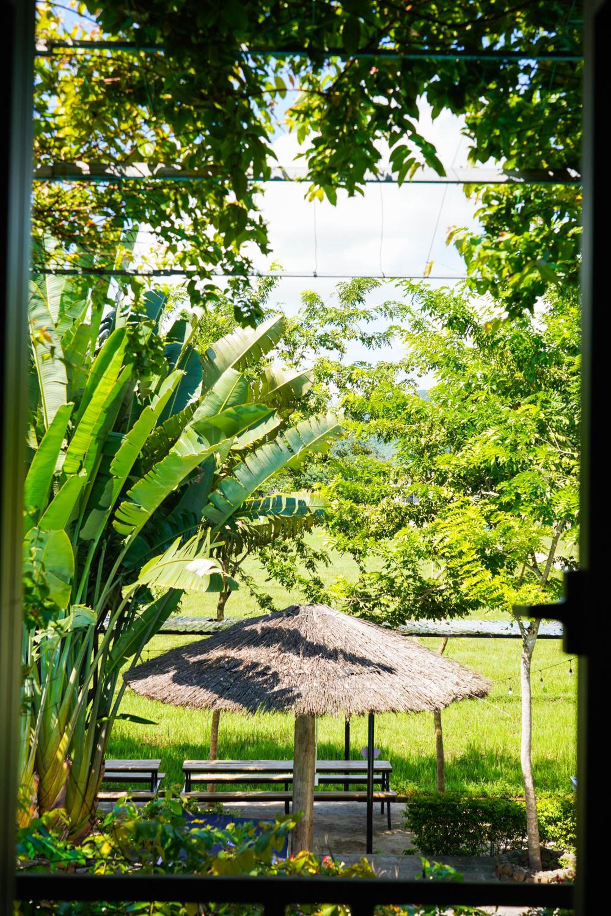 Jungle Boss Travel Lodge view 4