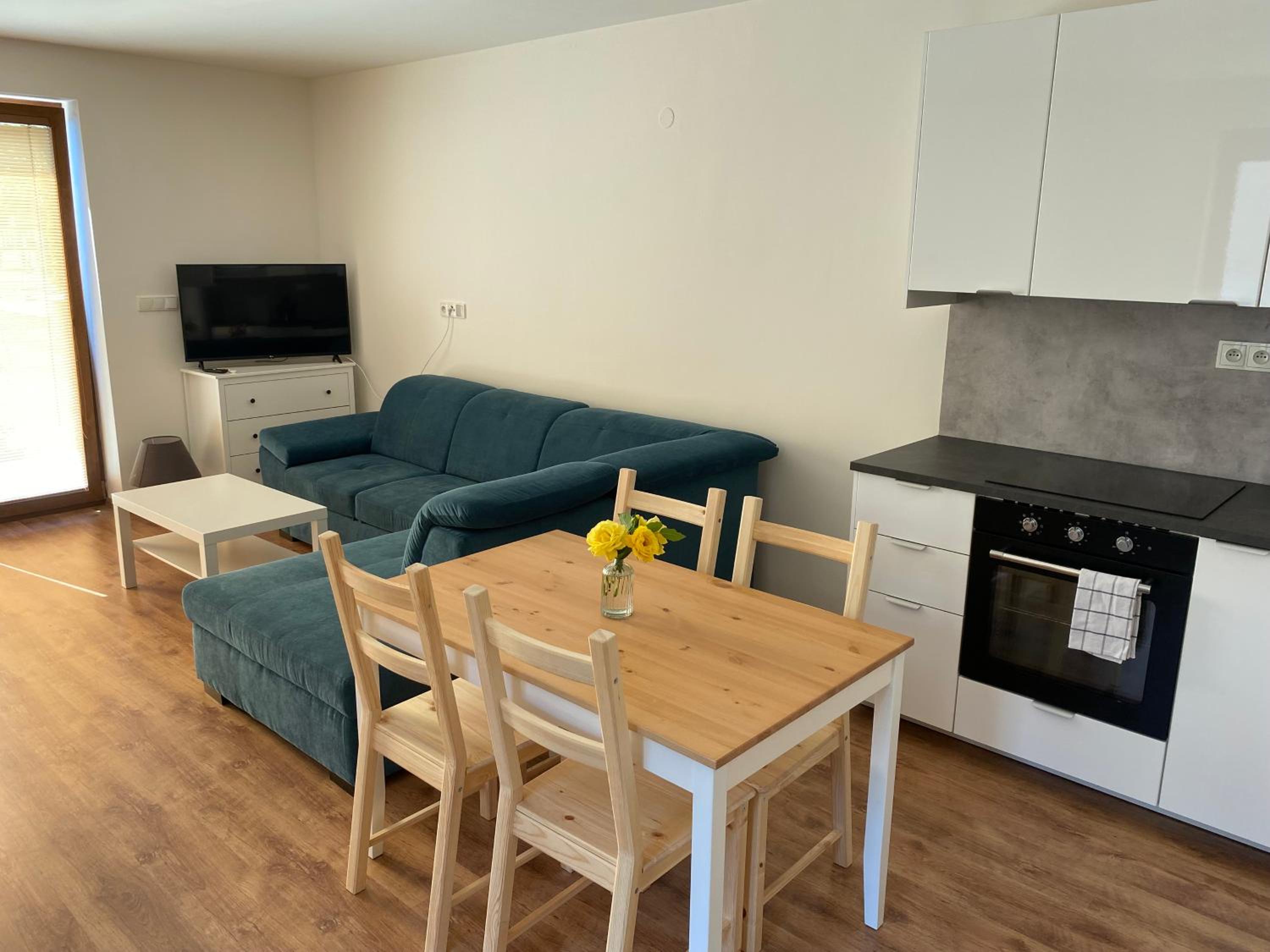 Apartmán OLOMOUC - SAMOTIŠKY view 5