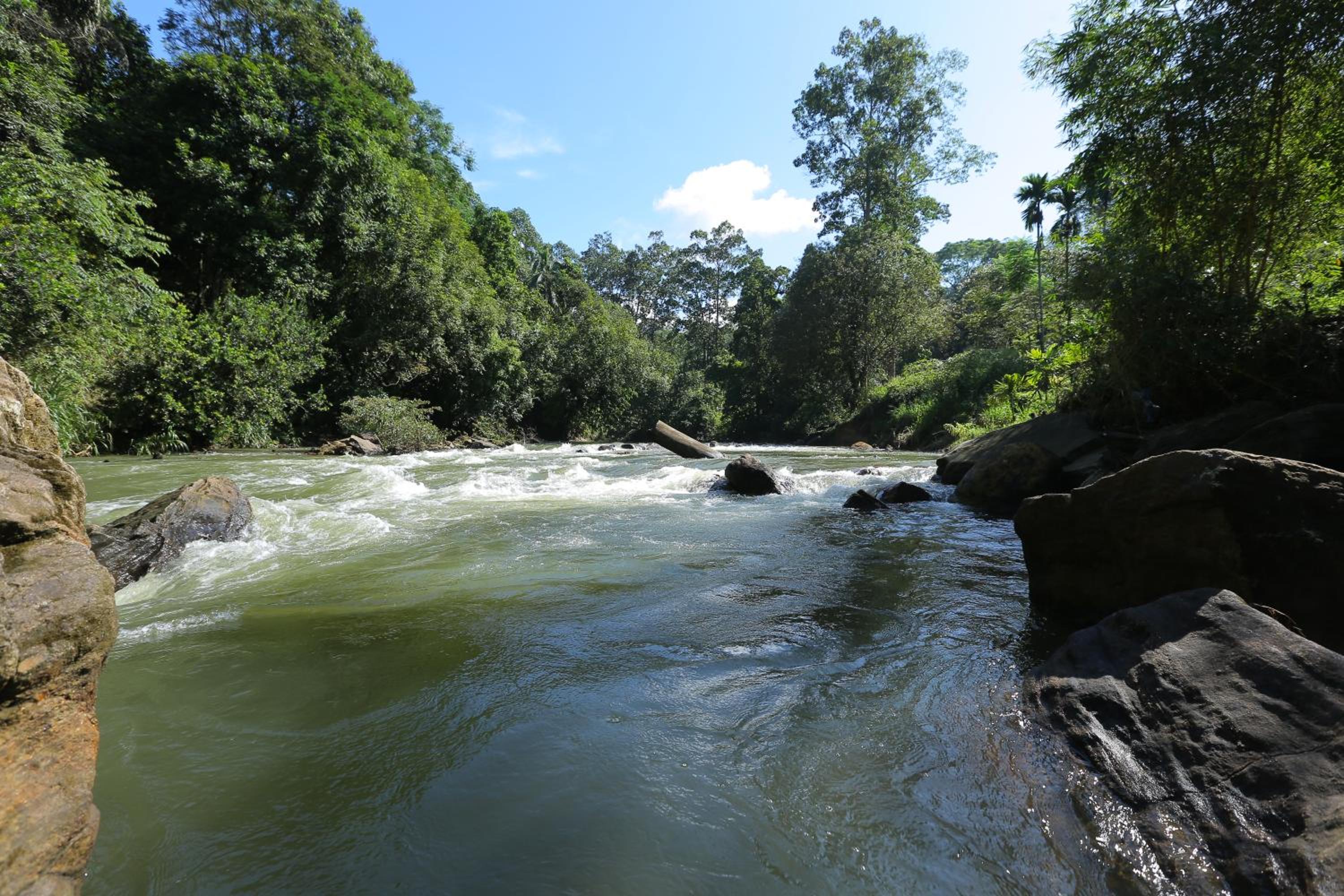 other