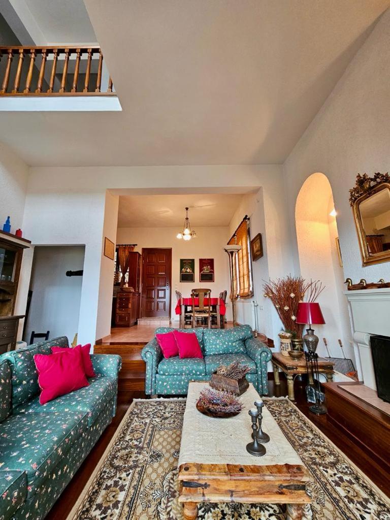 Duke's Horizon Villa in Arachova