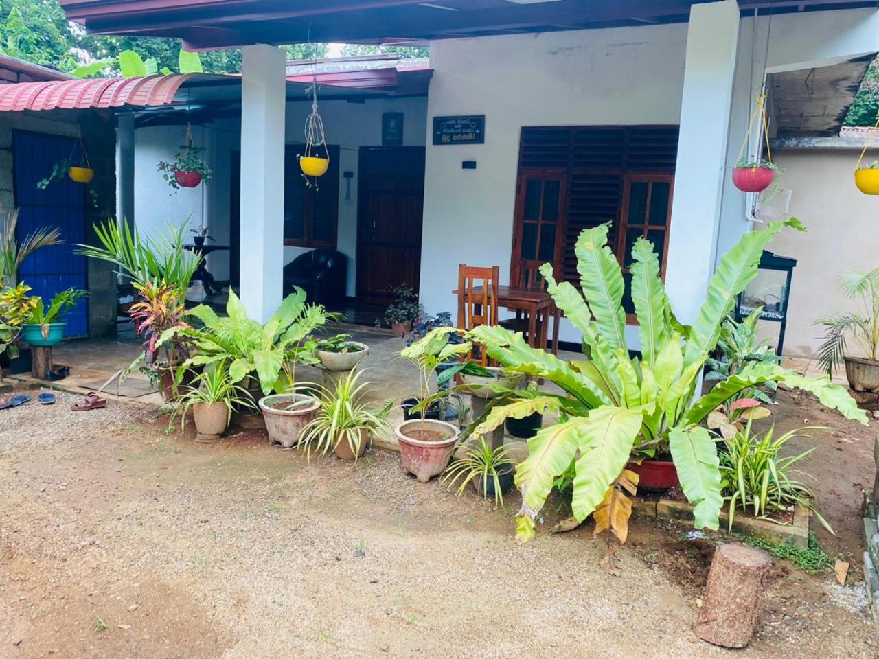 Grand Freedom Udawalawe view 4