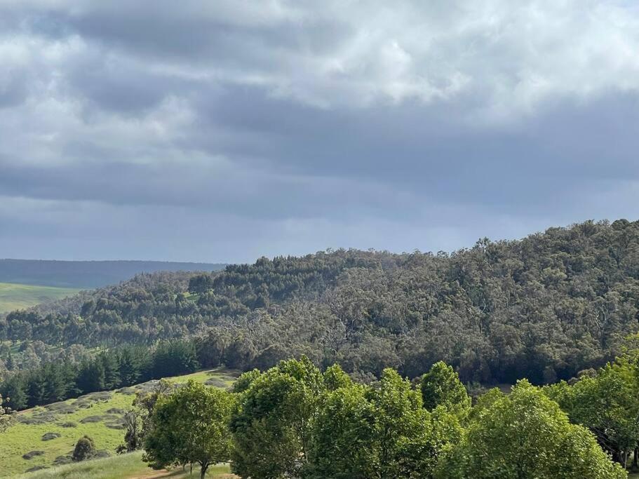 Gorgeous Apartment - Pet Friendly, Stunning Views