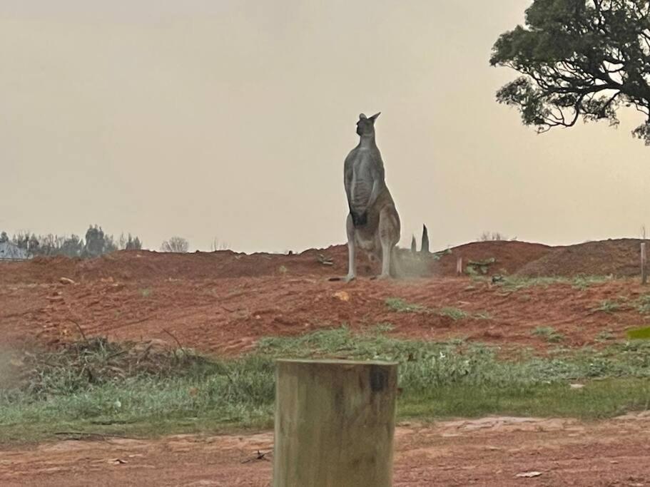Gorgeous Apartment - Pet Friendly, Stunning Views