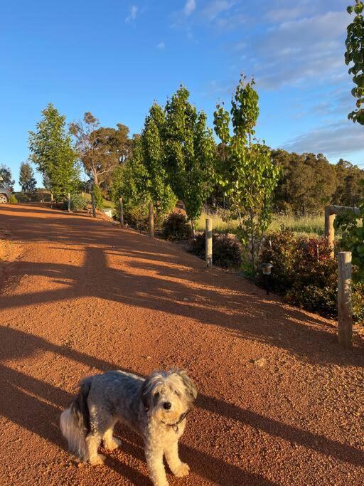 Gorgeous Apartment - Pet Friendly, Stunning Views