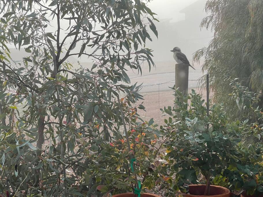Gorgeous Apartment - Pet Friendly, Stunning Views