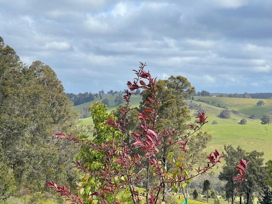 Gorgeous Apartment - Pet Friendly, Stunning Views