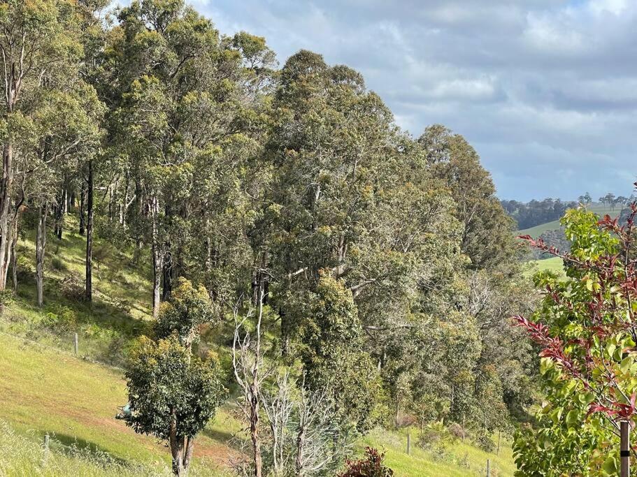 Gorgeous Apartment - Pet Friendly, Stunning Views