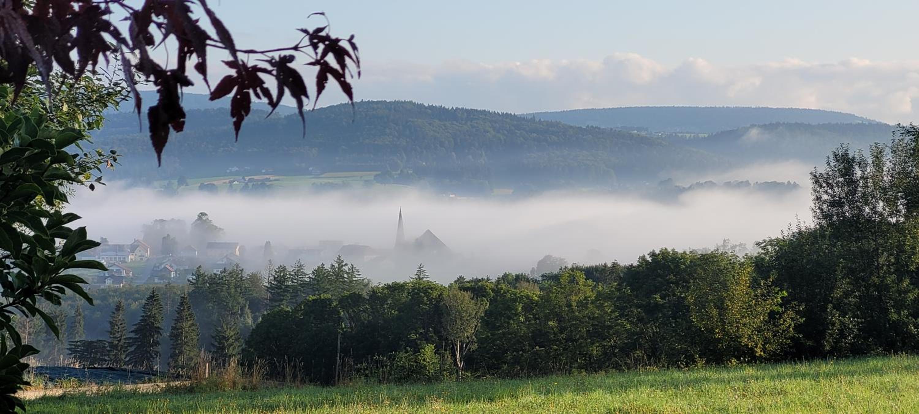 Ferienwohnung Bayerwaldblick view 5
