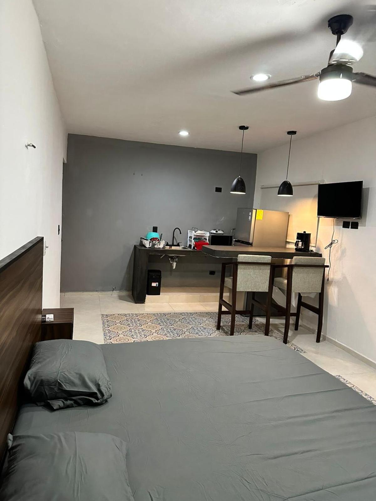 Apartamentos 31