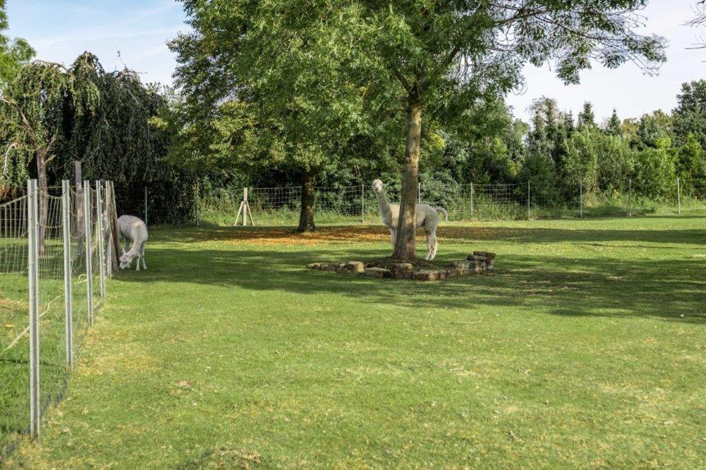 Ferienwohnung Böttcher