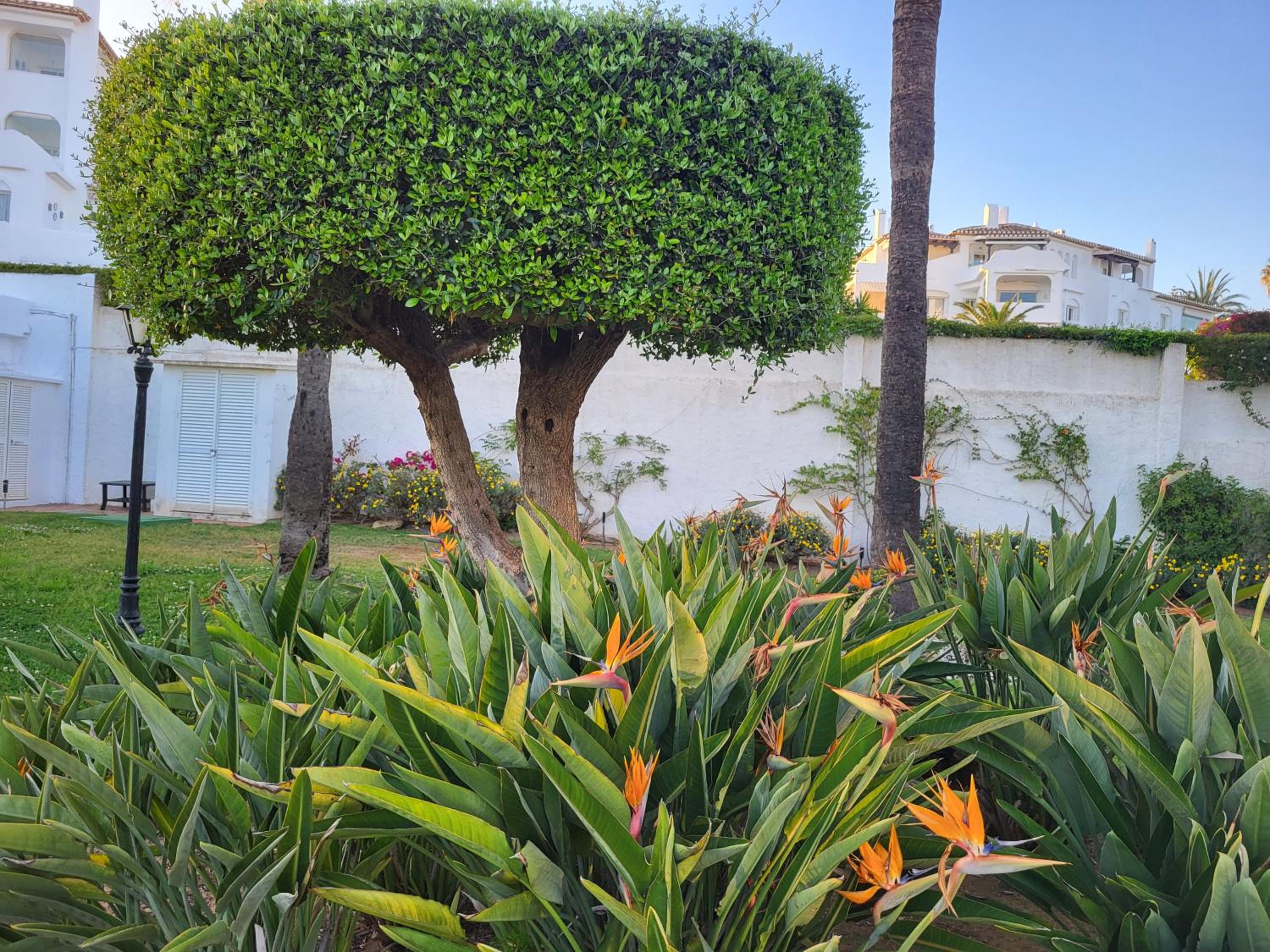 Elviria del Sol