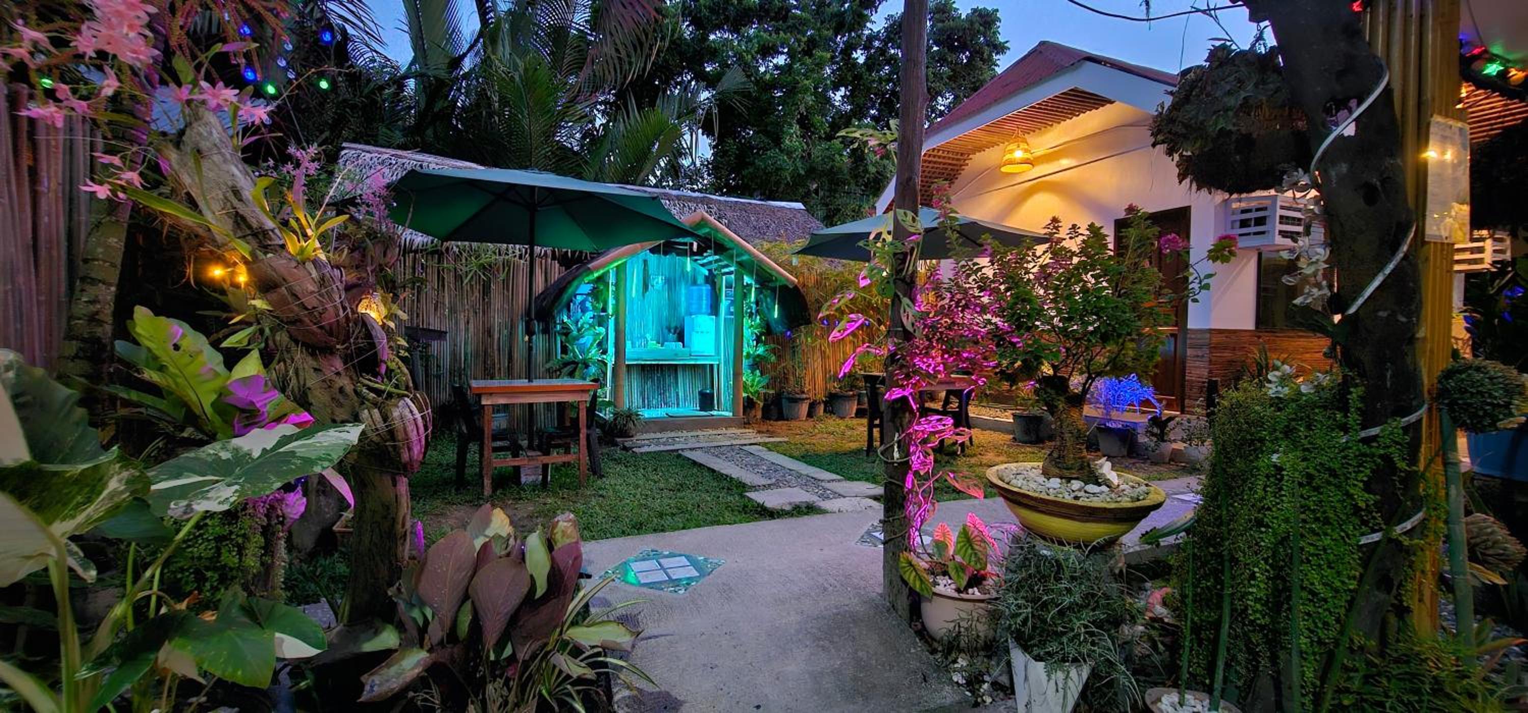 Photo 21