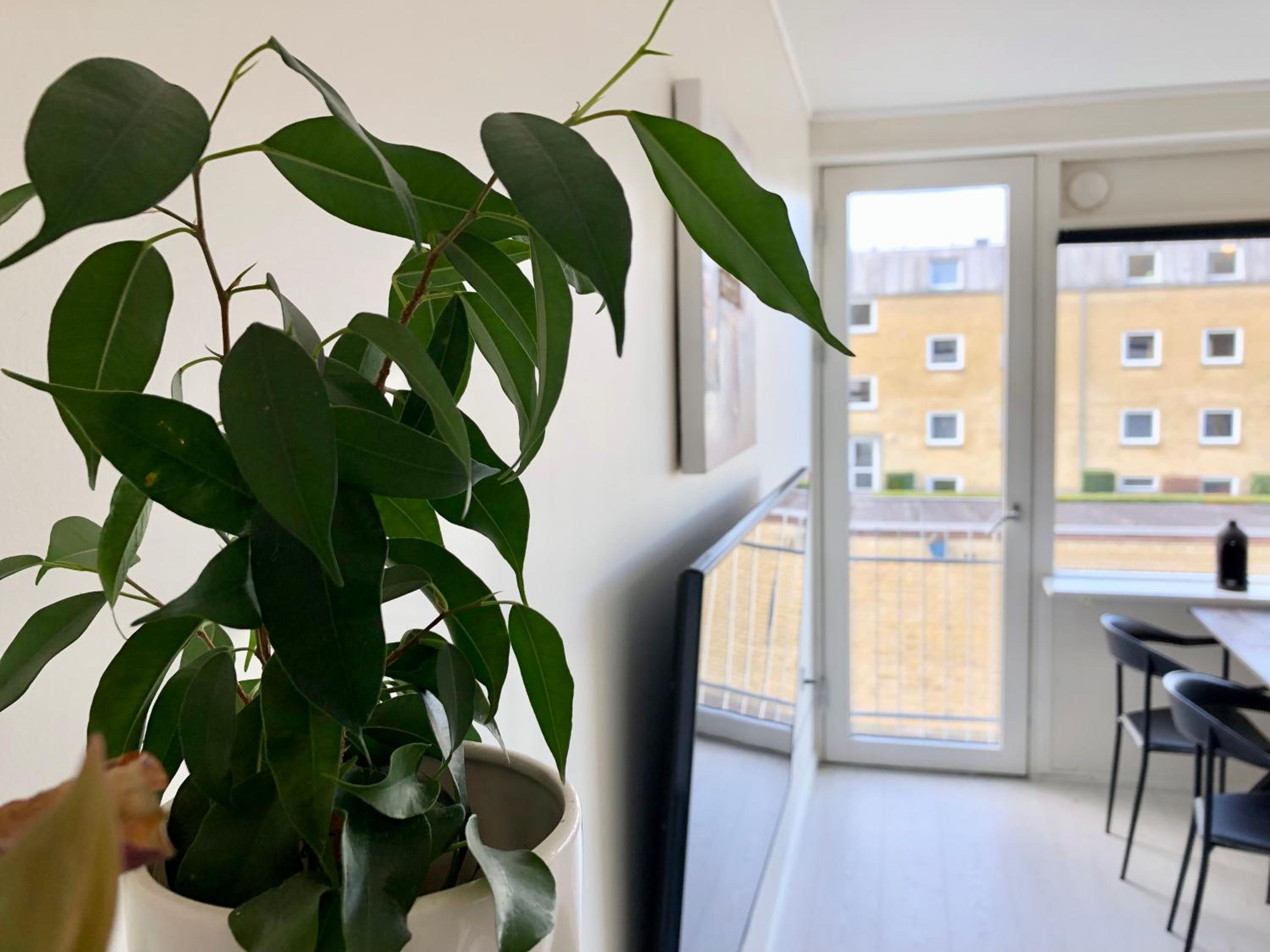 Private Scandinavian Apartment