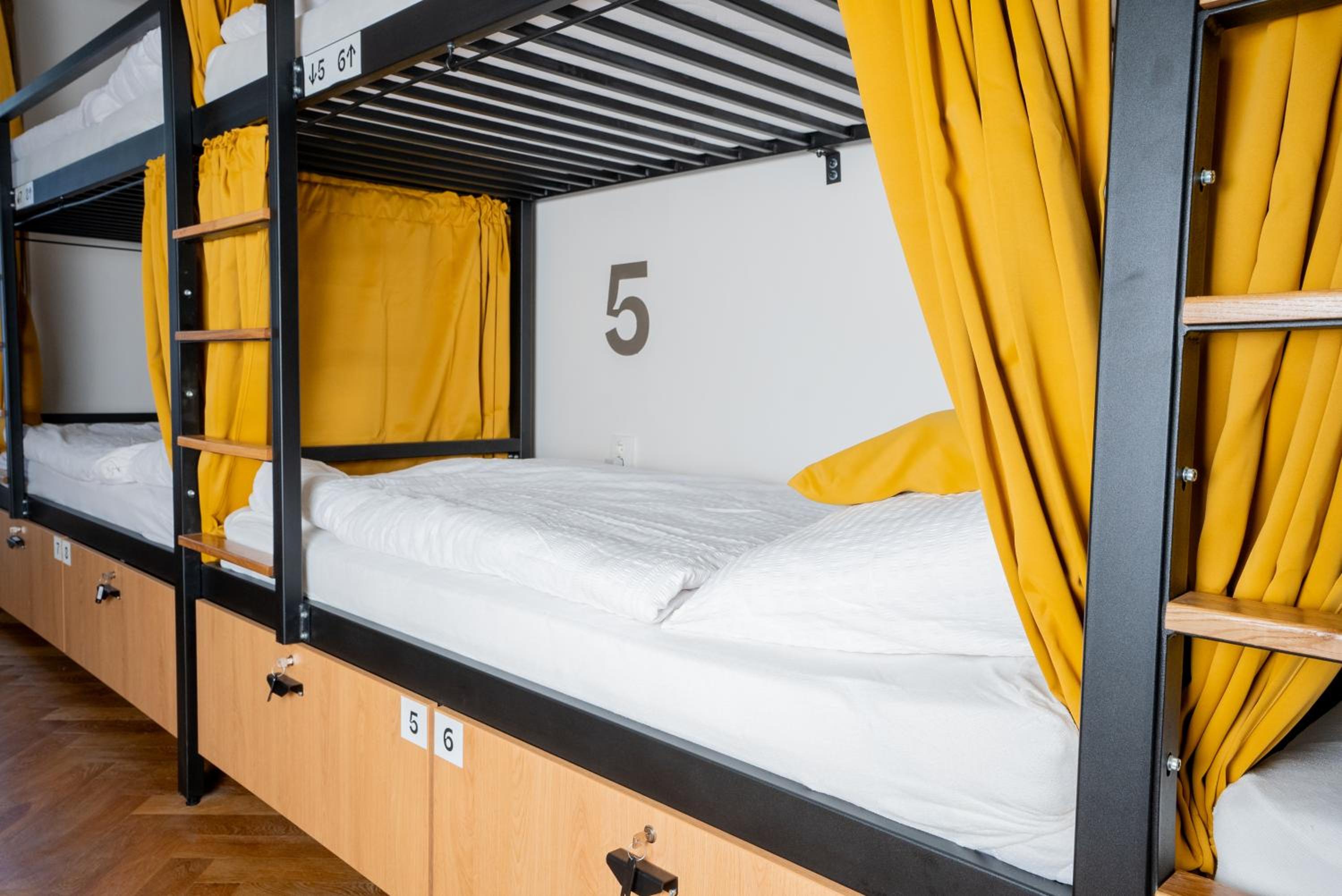 White Wolf House Hostel & Apartments