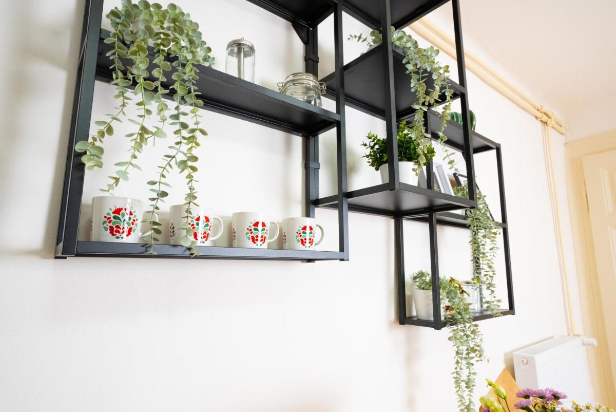 White Wolf House Hostel & Apartments