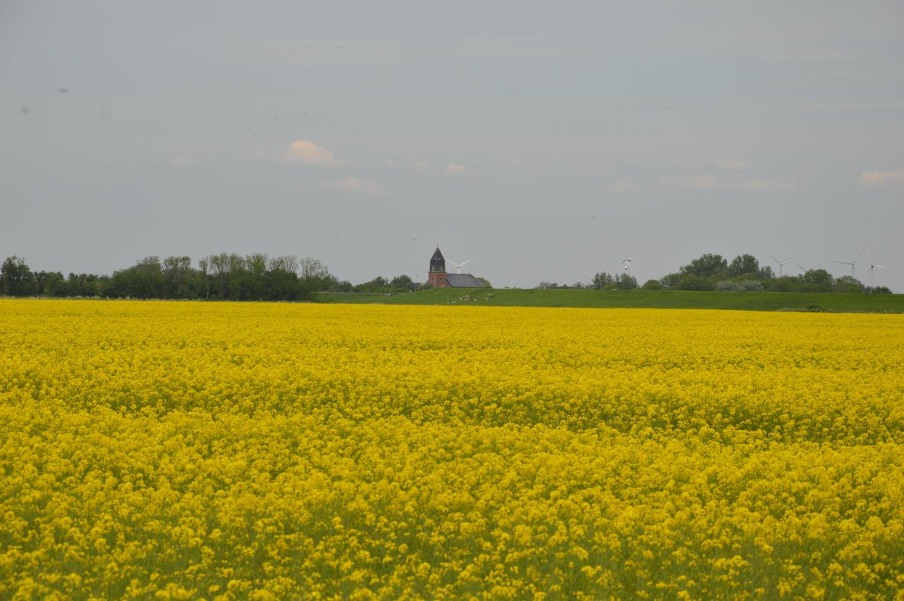 Landhaus Wittmaack Dircks