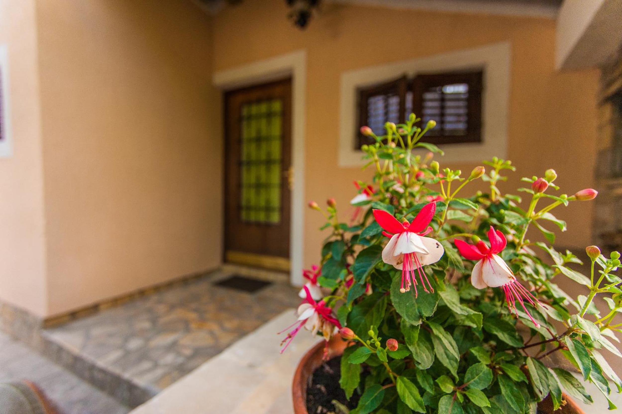 Andrije Buvine Apartments view 4