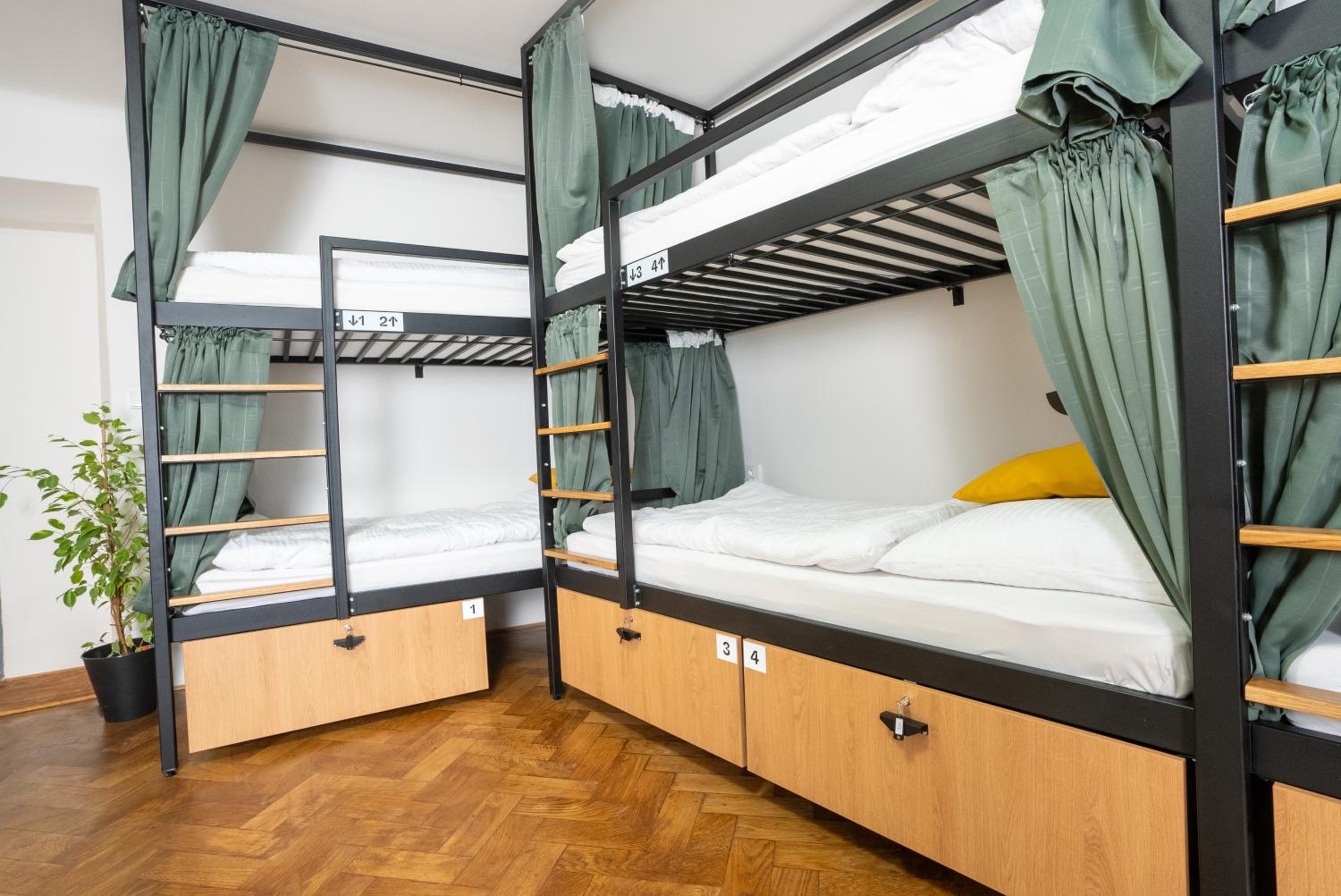 White Wolf House Hostel & Apartments