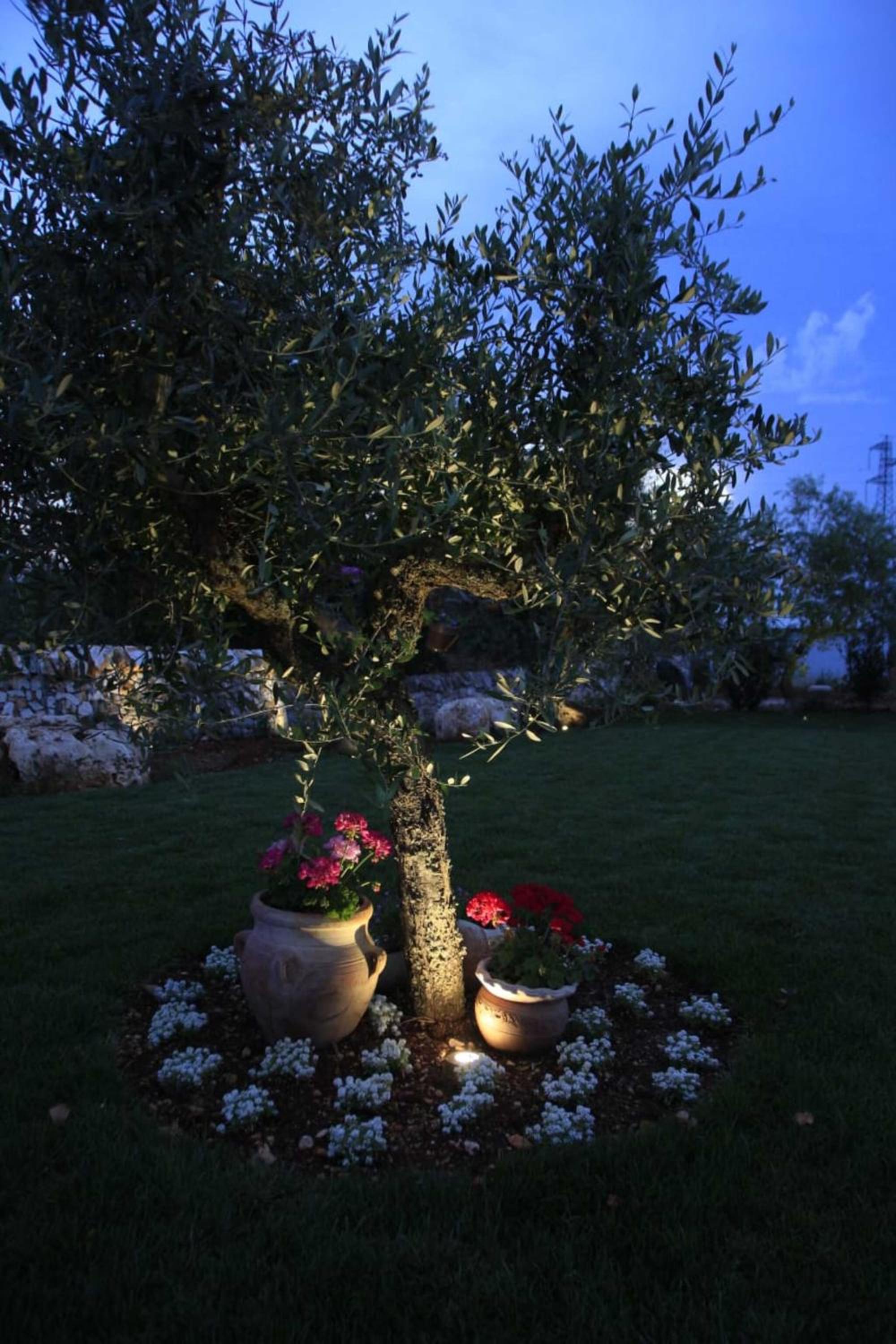Trulli Orma en Martina Franca