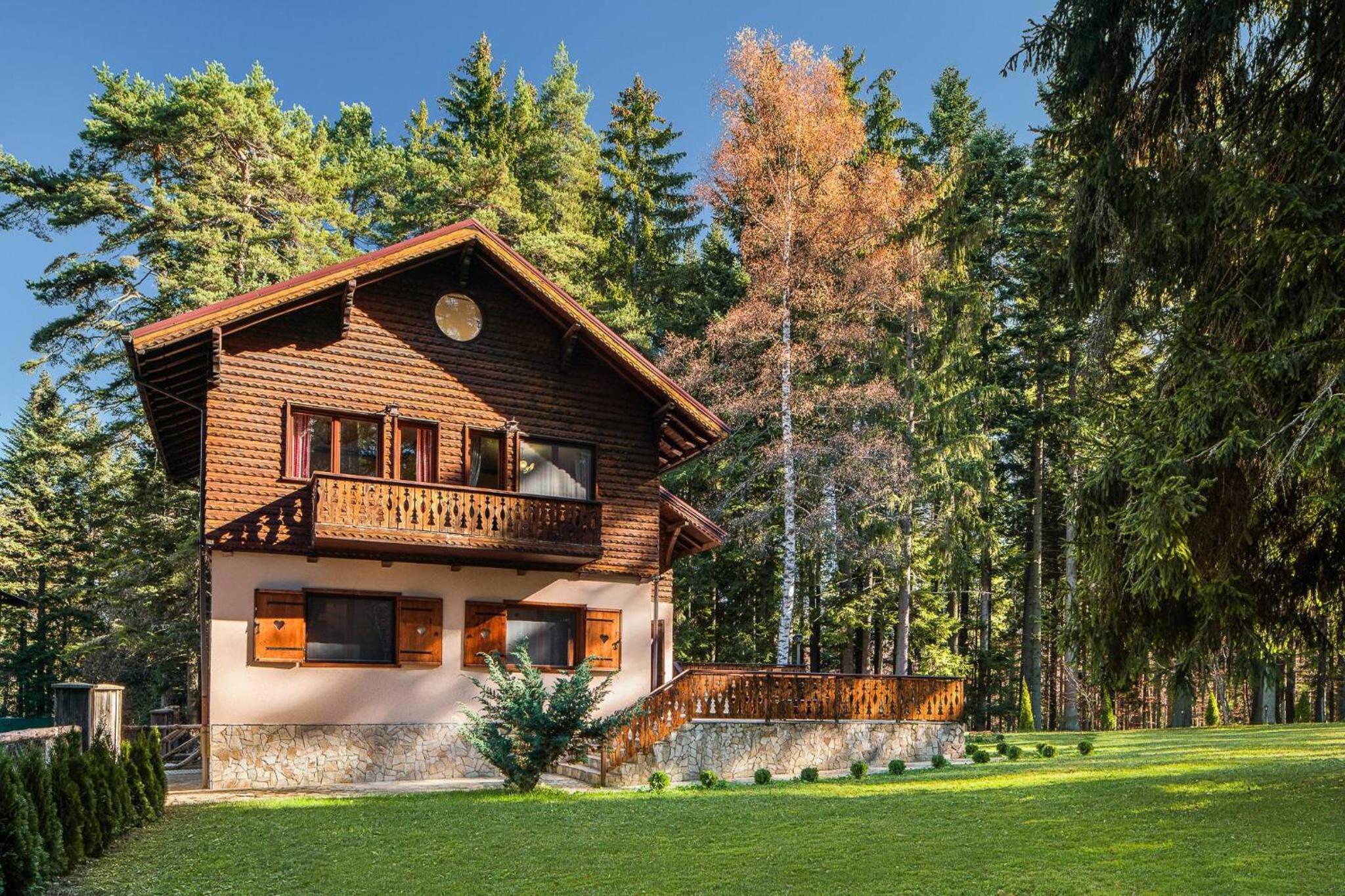 Villa Borovets Mountain Luxury