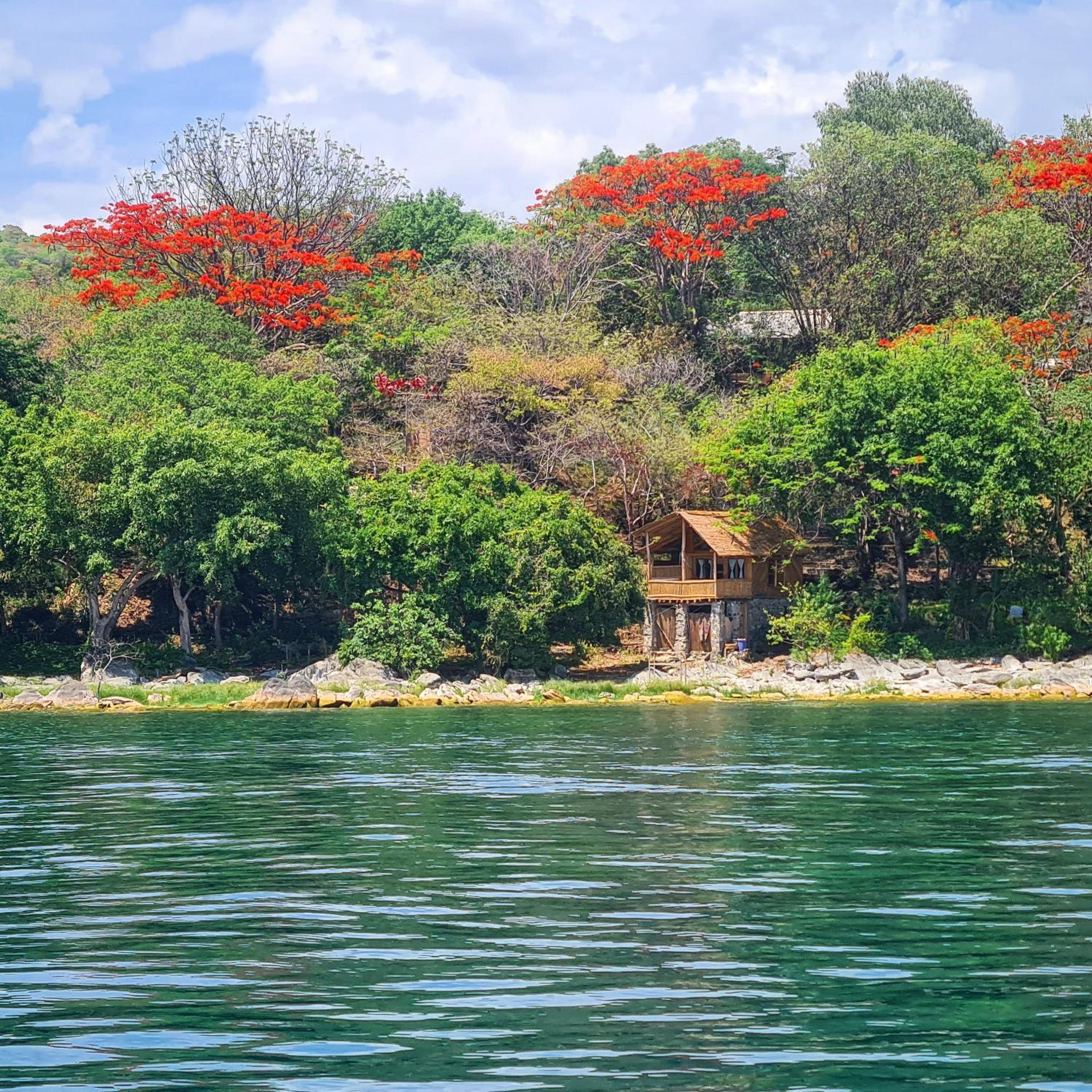 Butterfly Space- A Non-Profit Eco-Lodge view 5