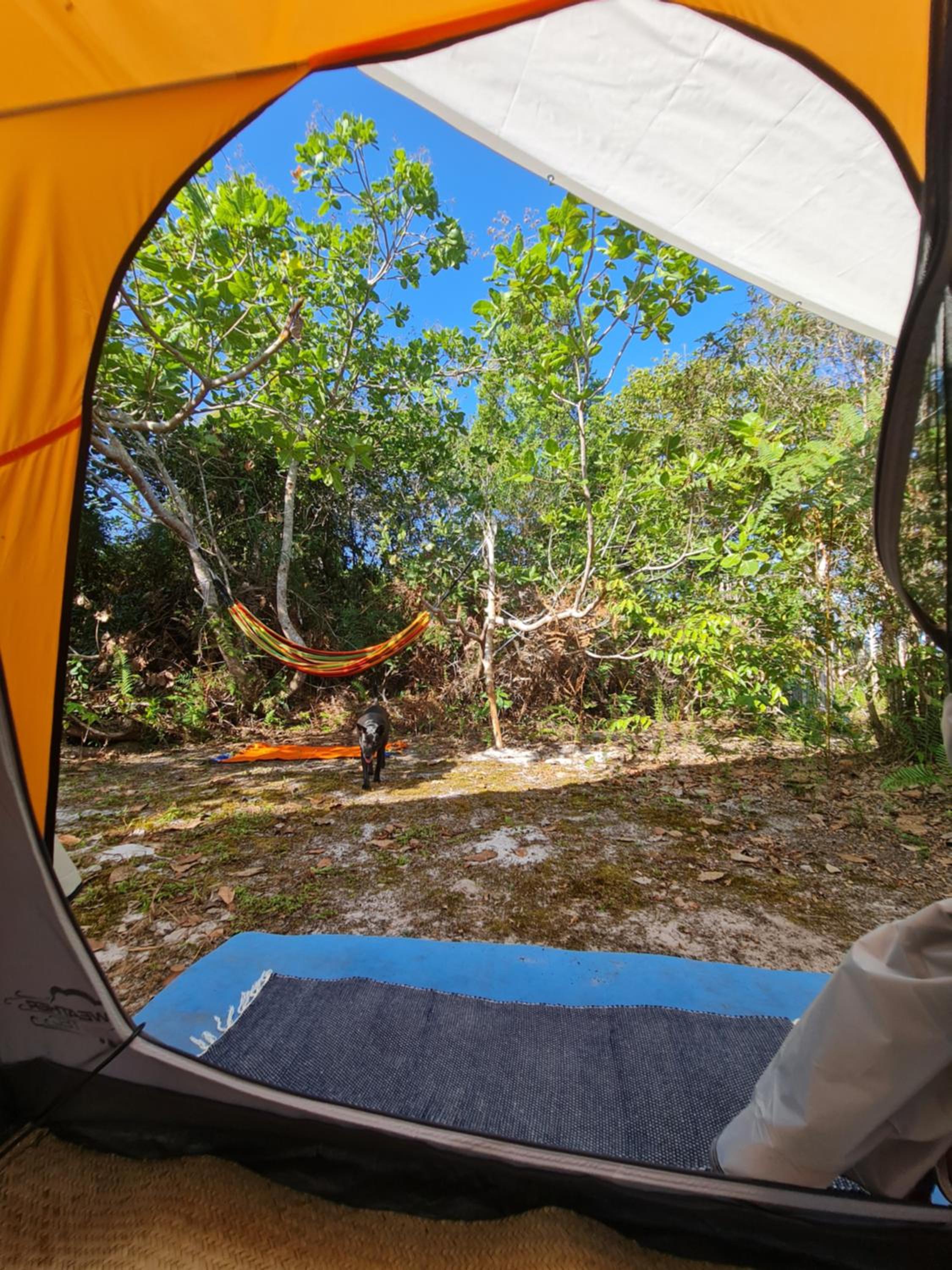 Quarto Que Brota do Chão