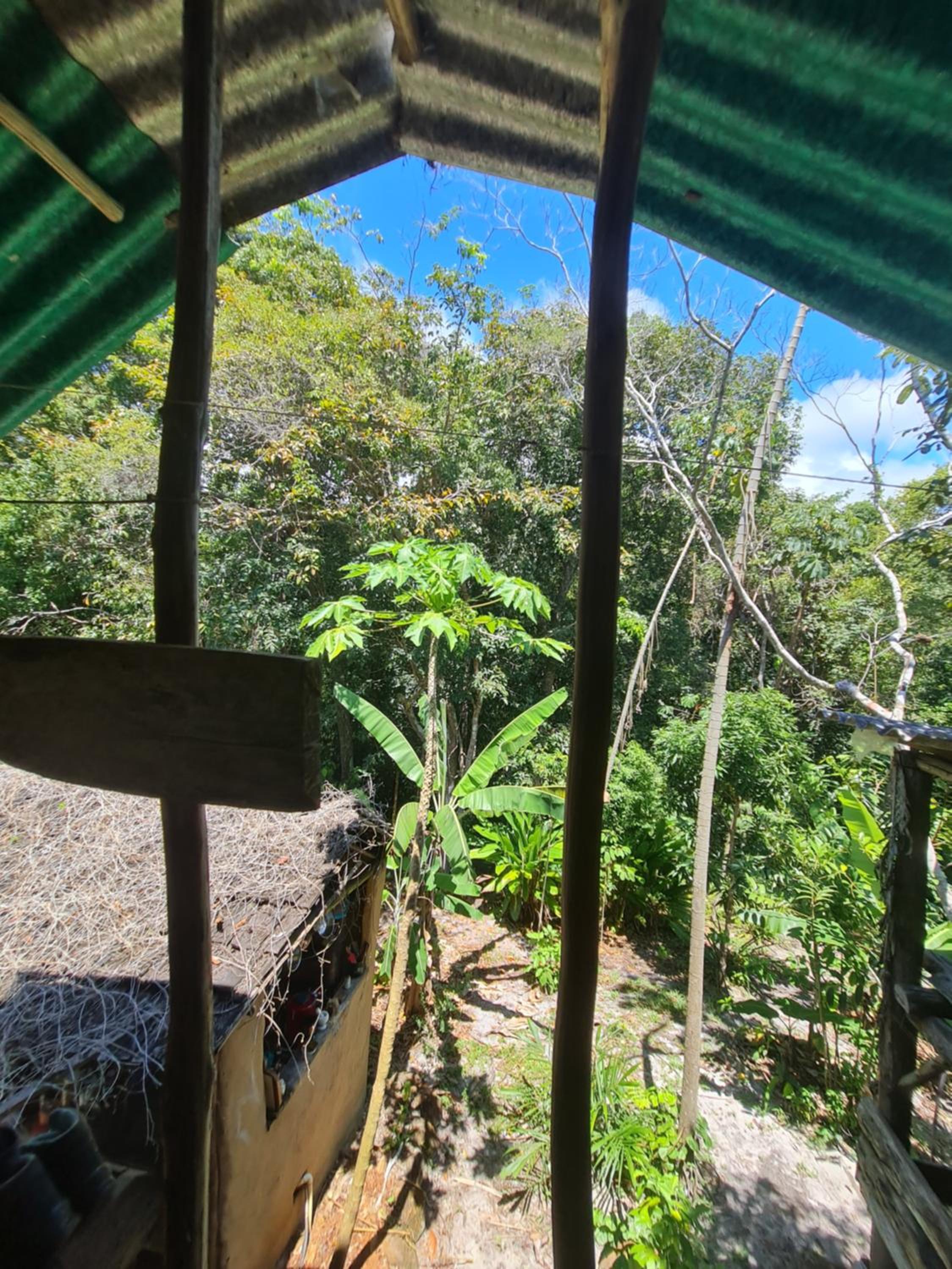 Quarto Que Brota do Chão