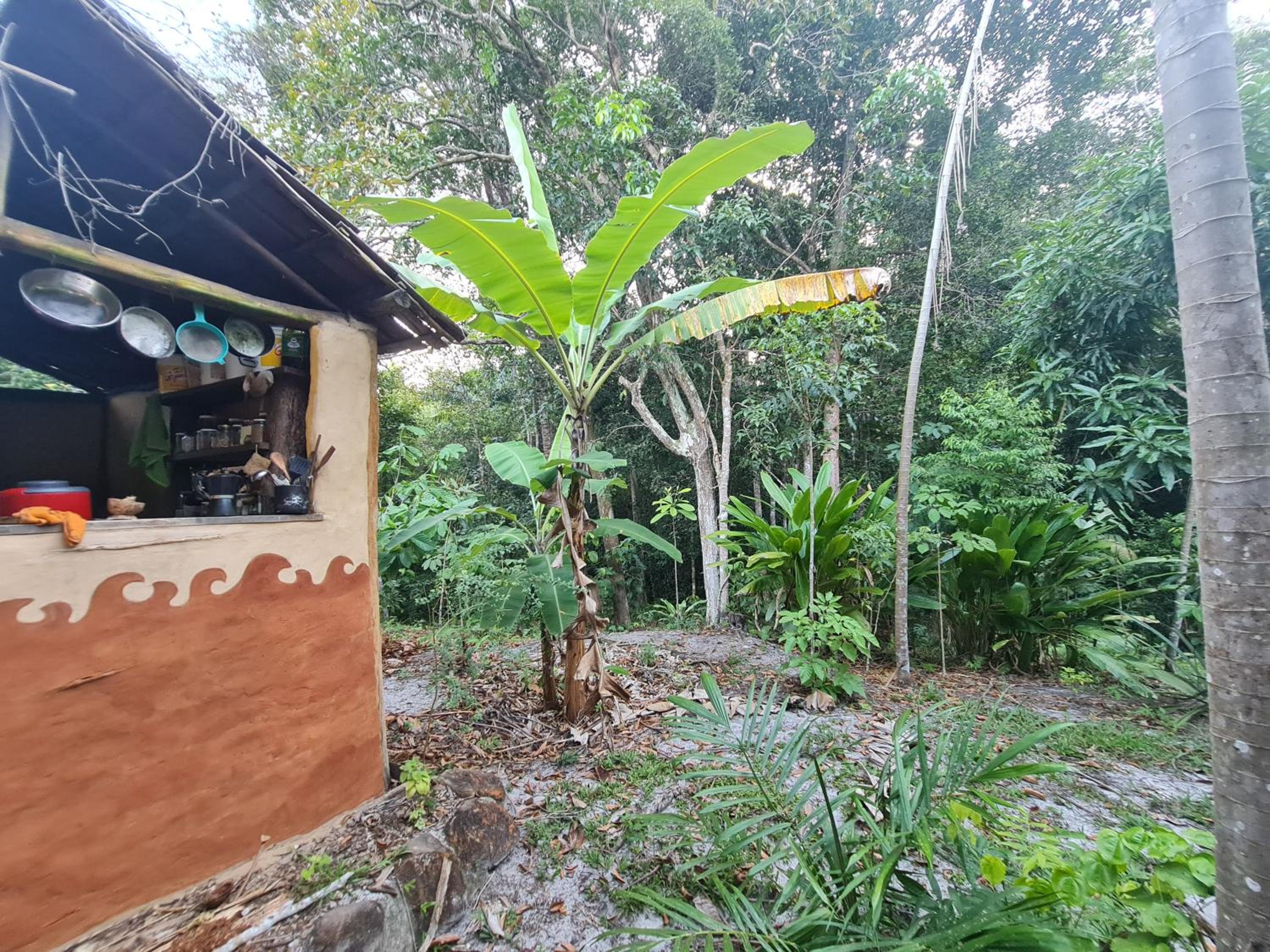 Quarto Que Brota do Chão