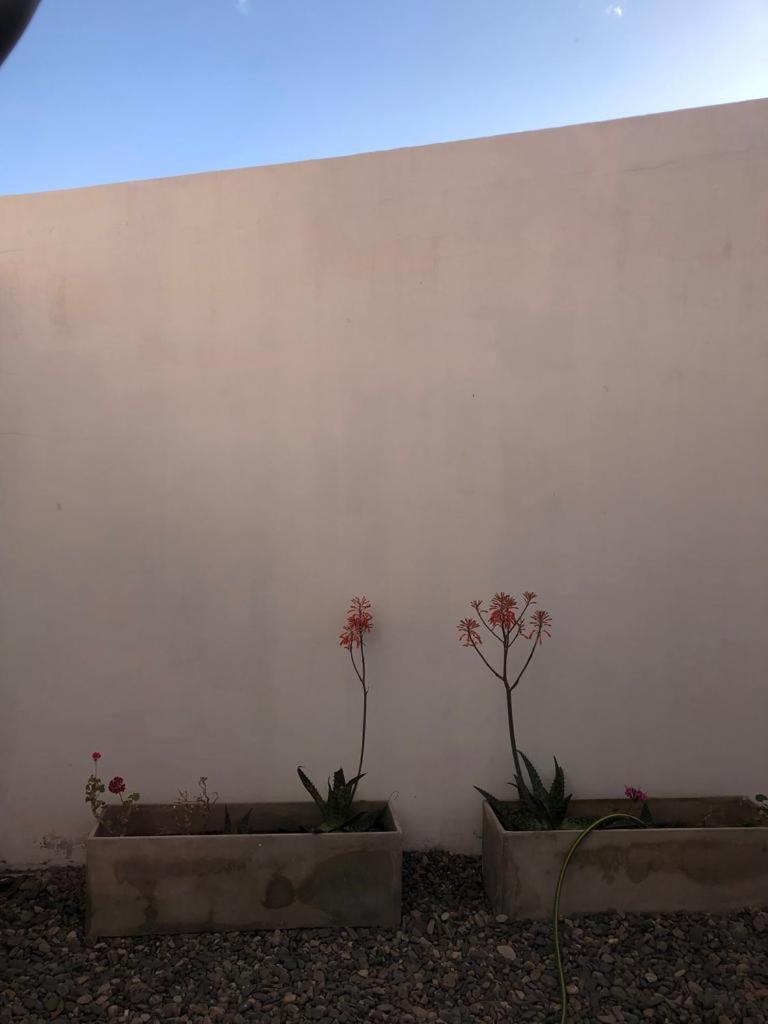 Goris B&B - San Bernardo