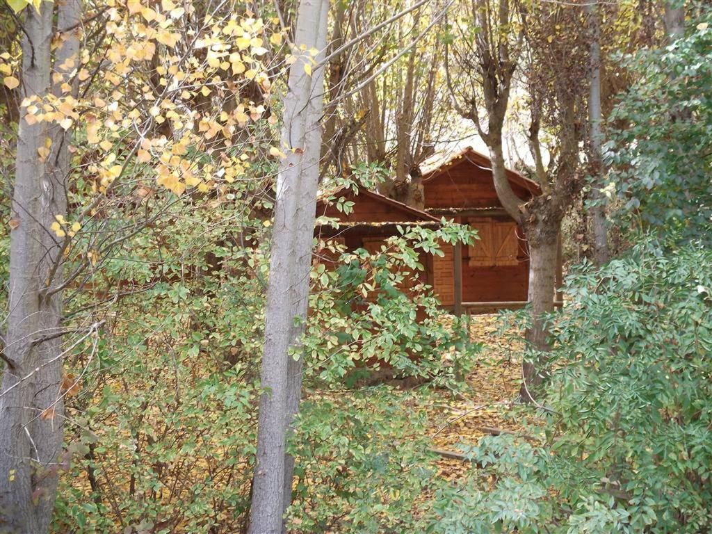 Photo 12