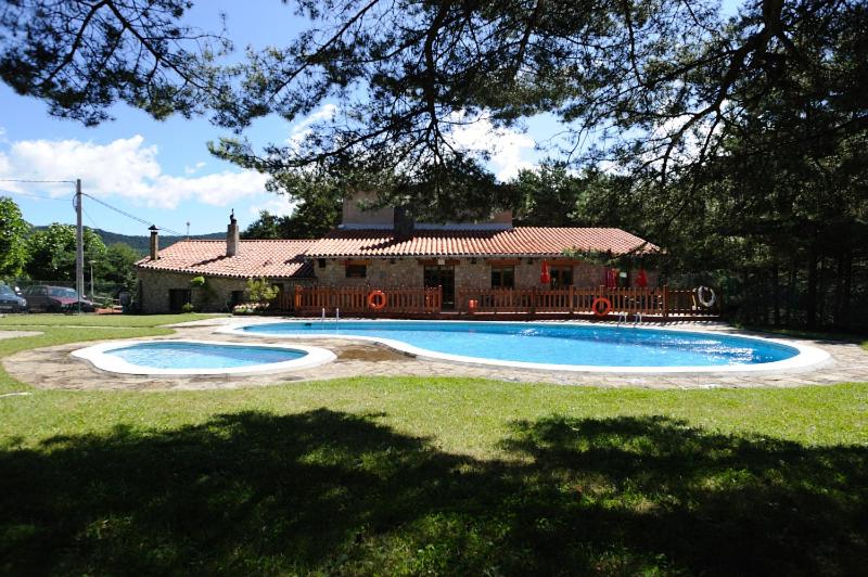 Photo 41