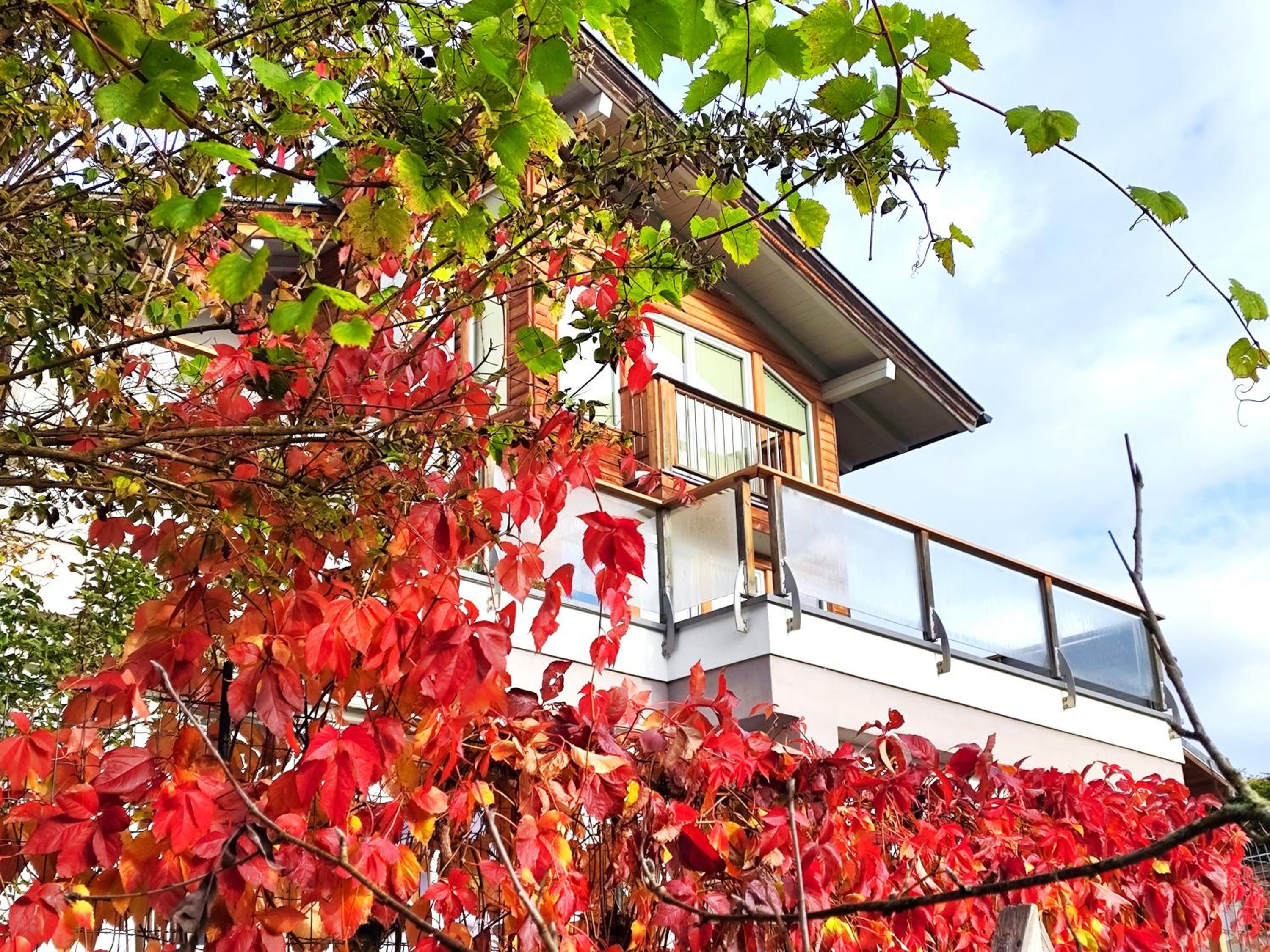 Ferienwohnung HÖLLWART - exclusiv, ruhige Lage, Panoramablick