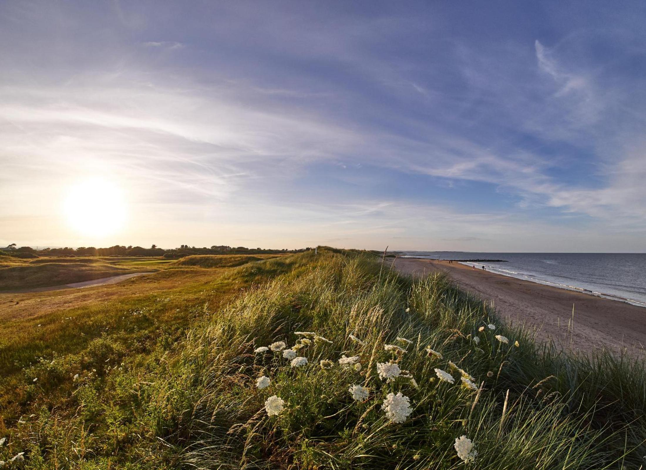 Rosslare Strand Holiday Home view 4