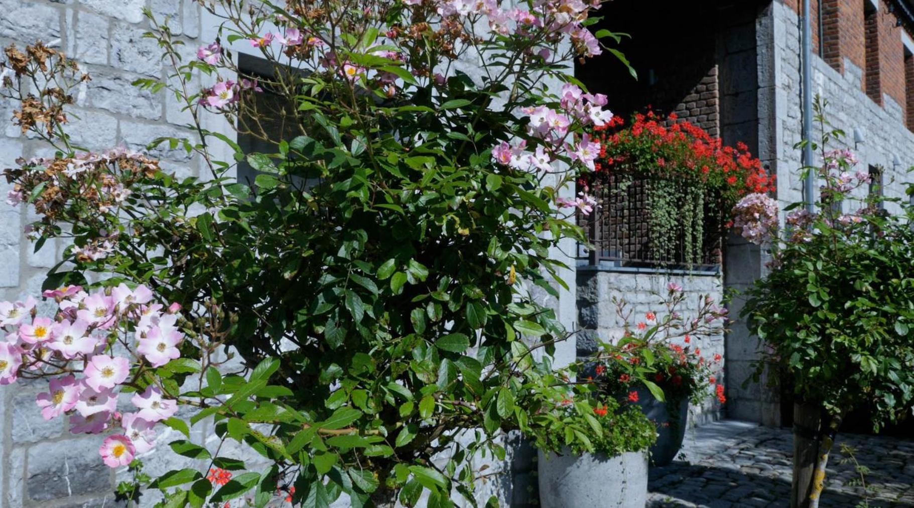 Gîtes Ferme de la Barrière