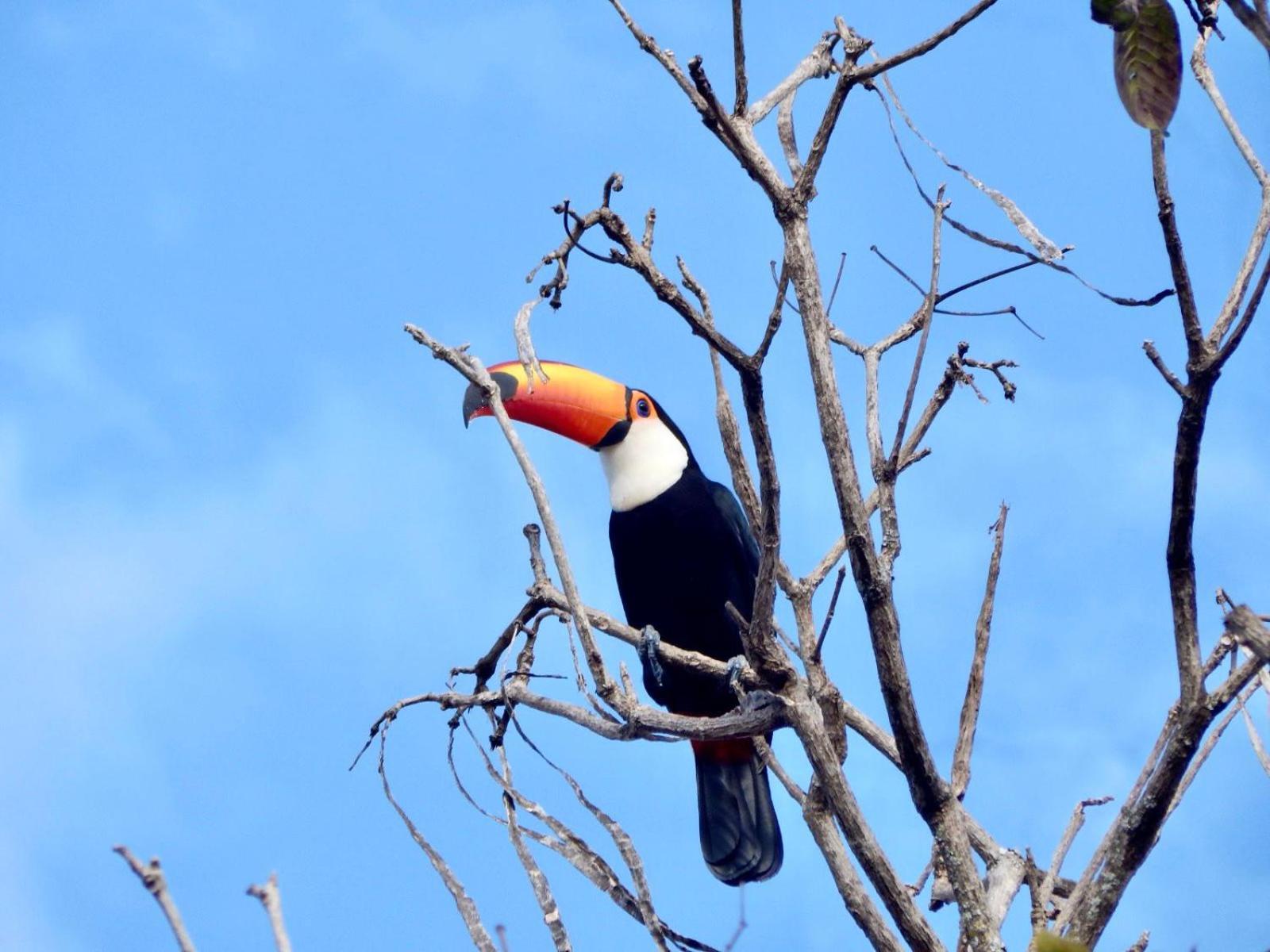Pousada Fazenda São Bento