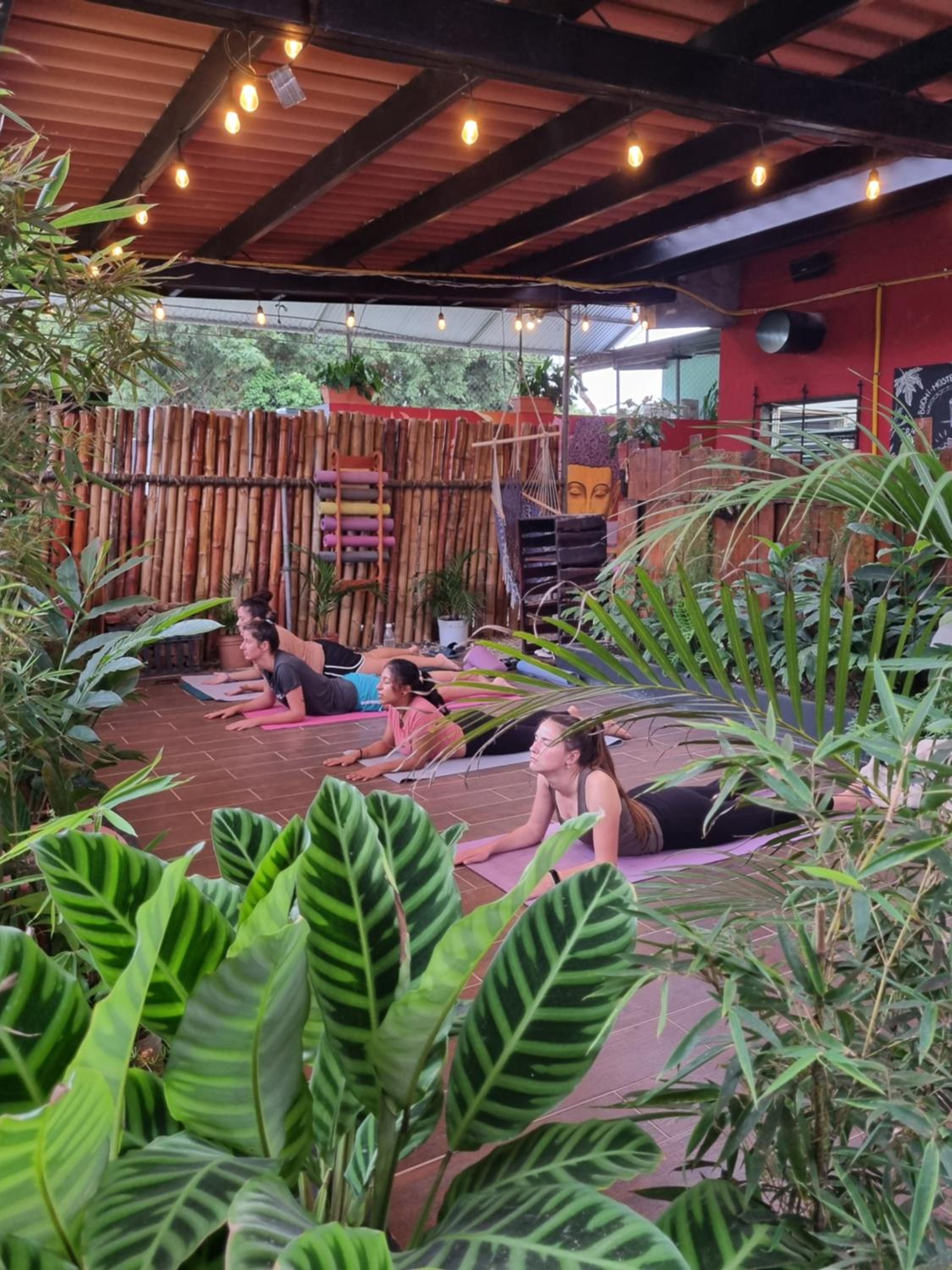 Bodhi El Valle