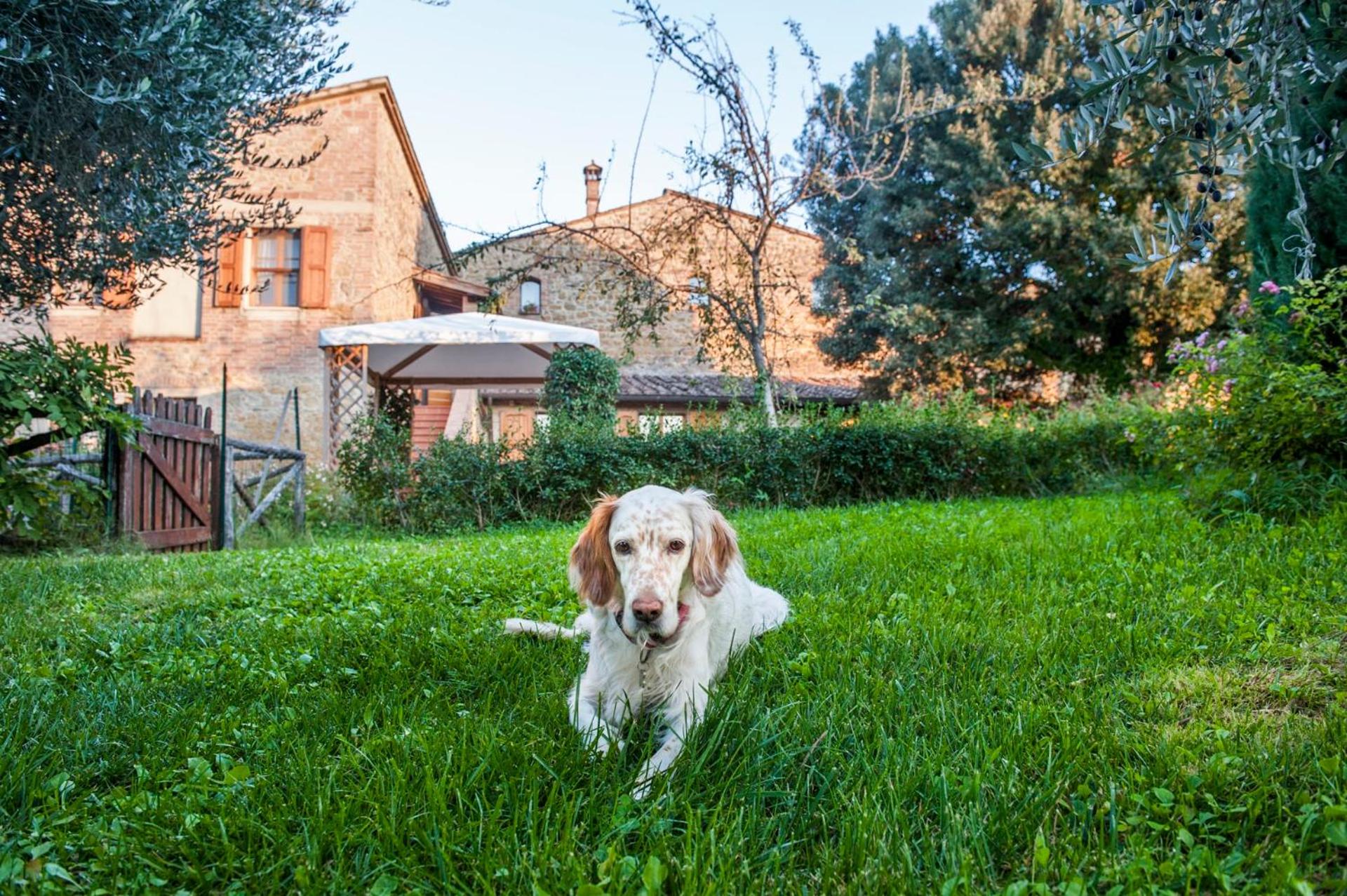 La Ripa - Appartamento I Nidi view 2