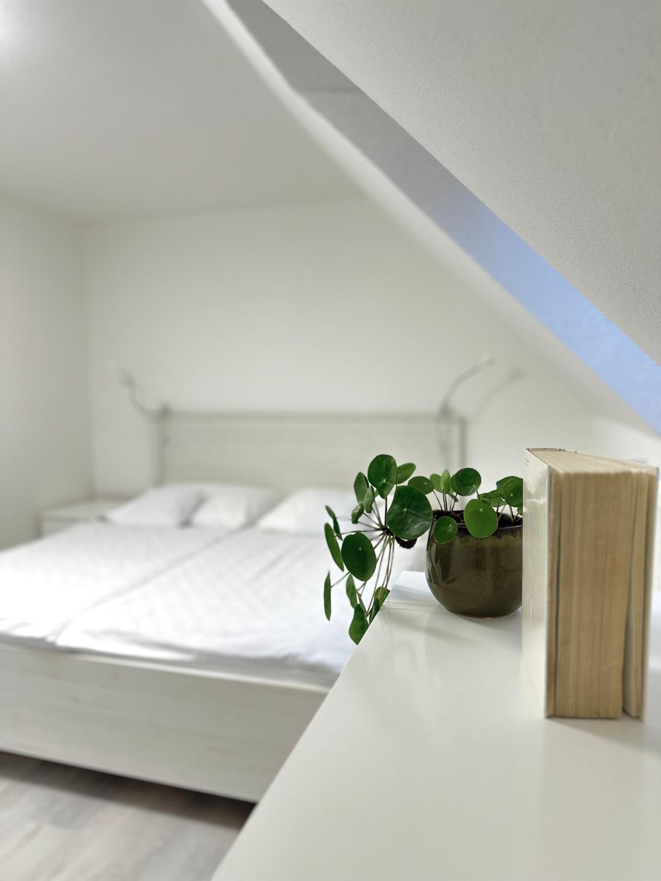 Apartment Nela view 2