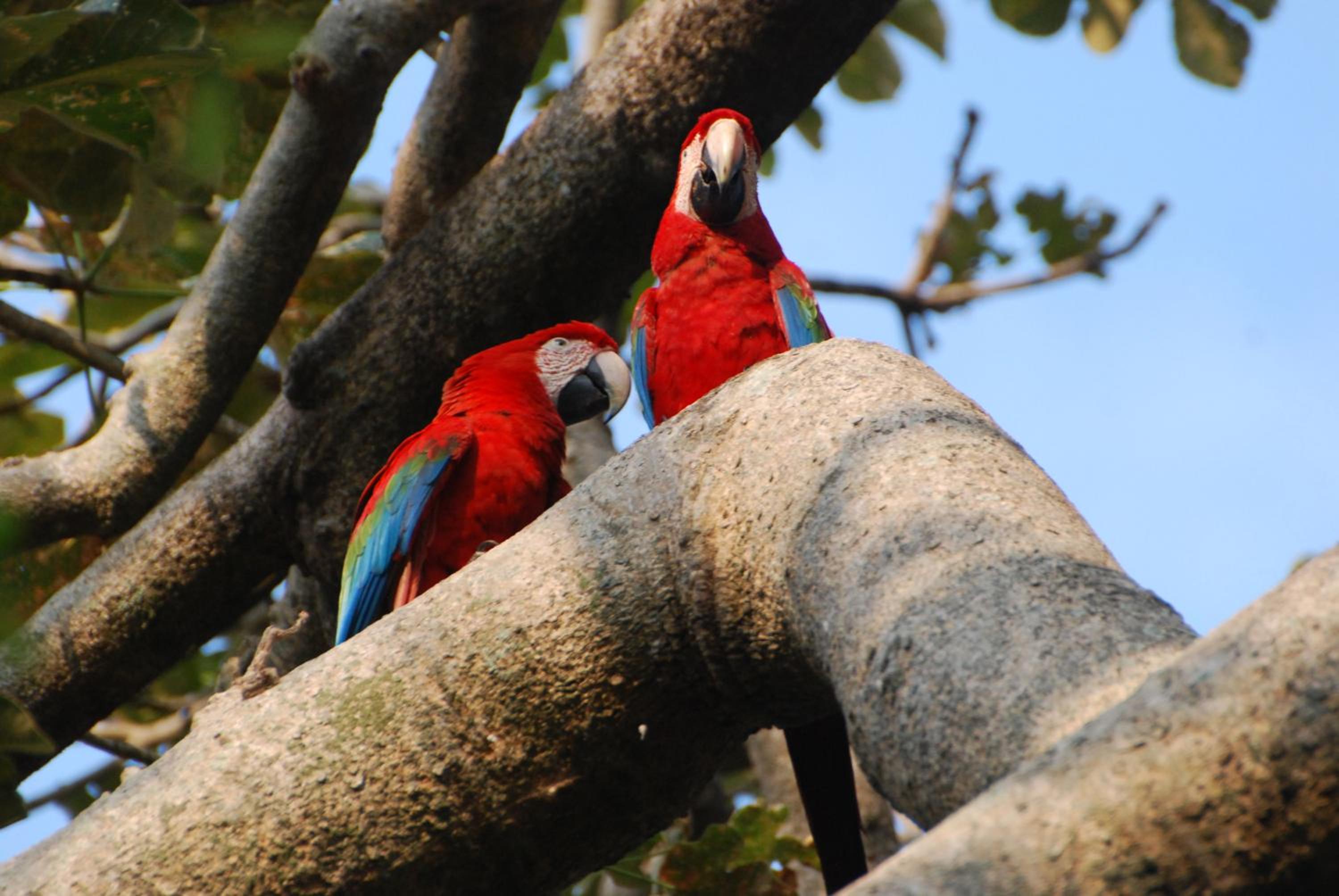 Hostel Camping Road Park Pantanal Sul