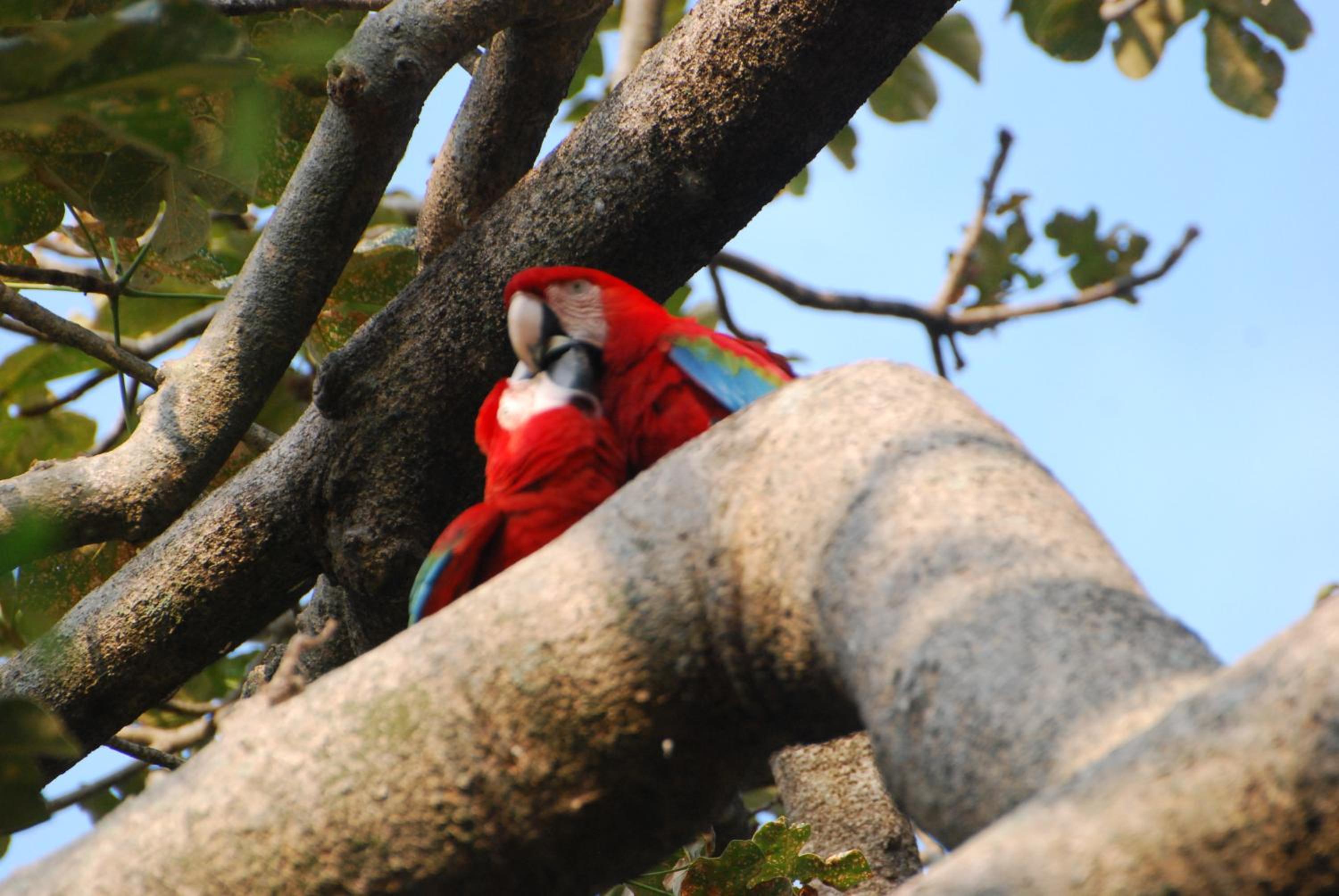 Hostel Camping Road Park Pantanal Sul