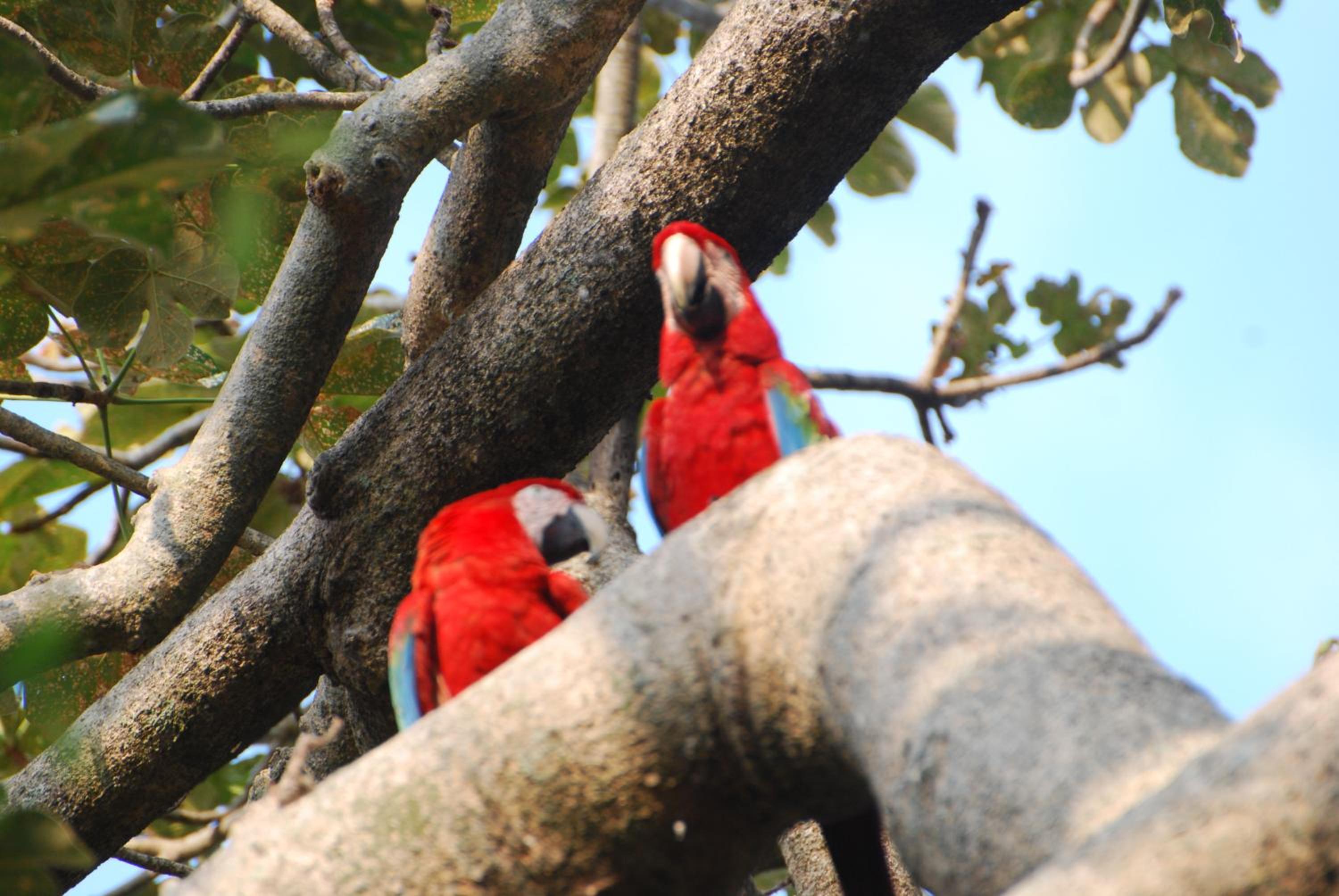 Hostel Camping Road Park Pantanal Sul