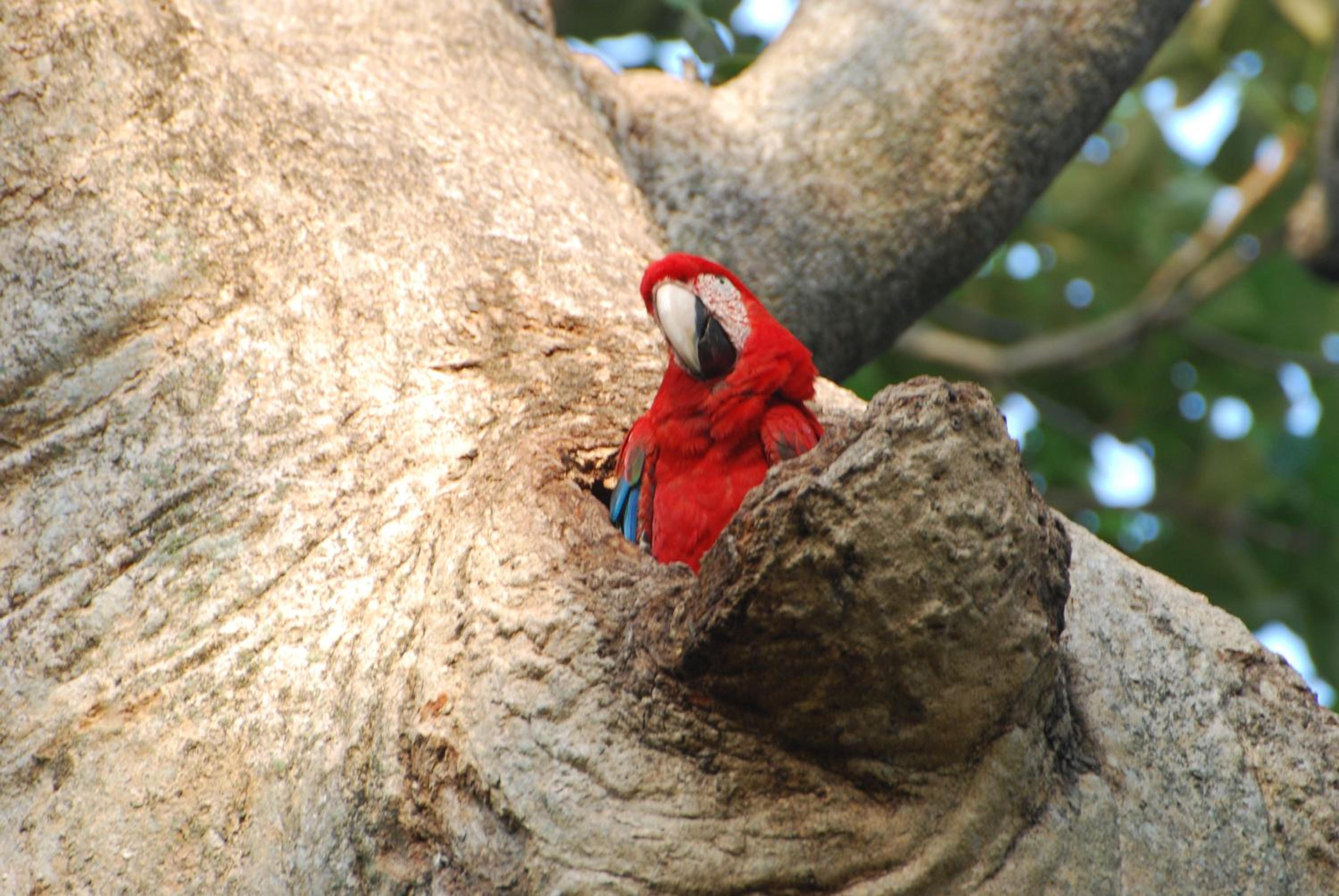 Hostel Camping Road Park Pantanal Sul