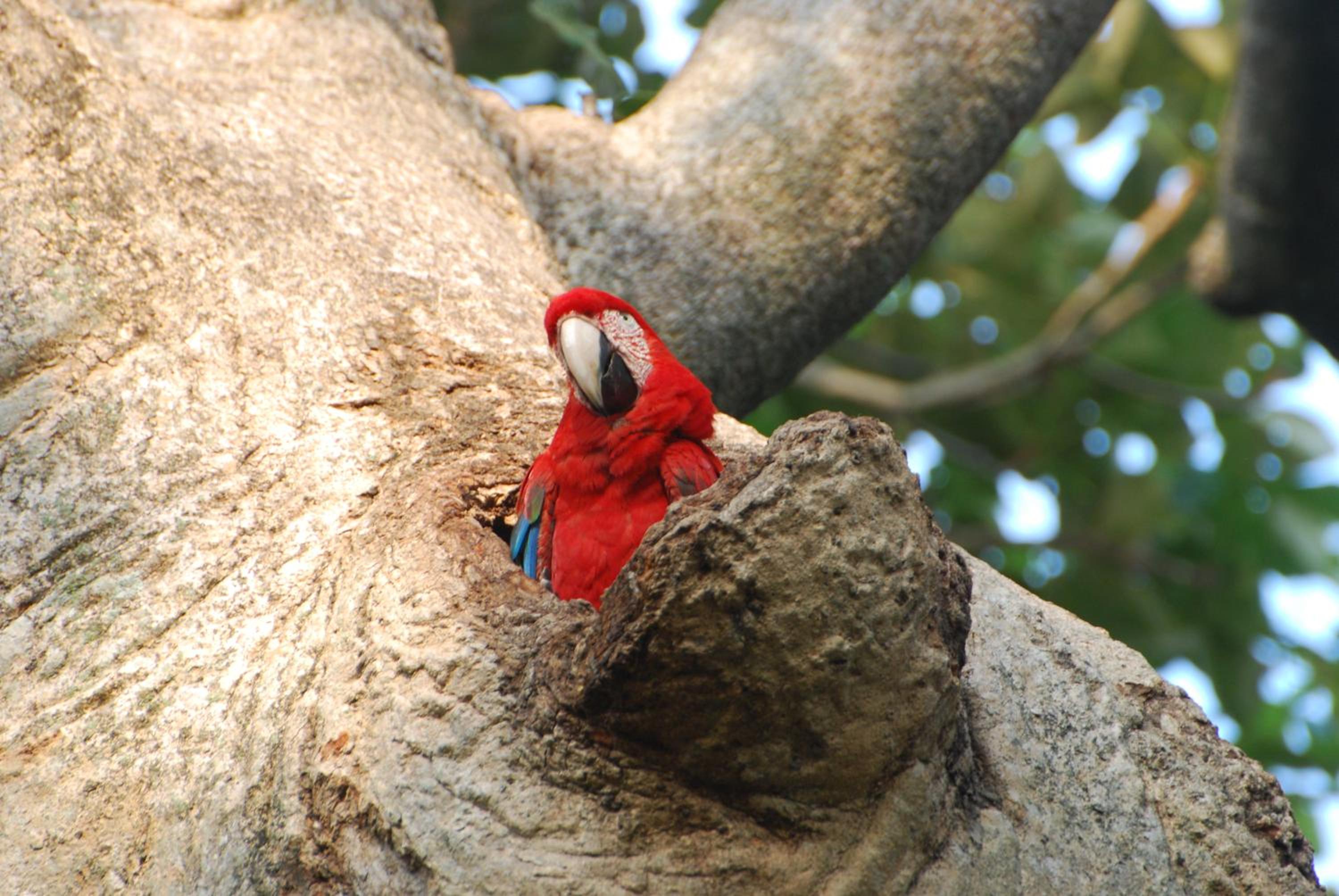 Hostel Camping Road Park Pantanal Sul