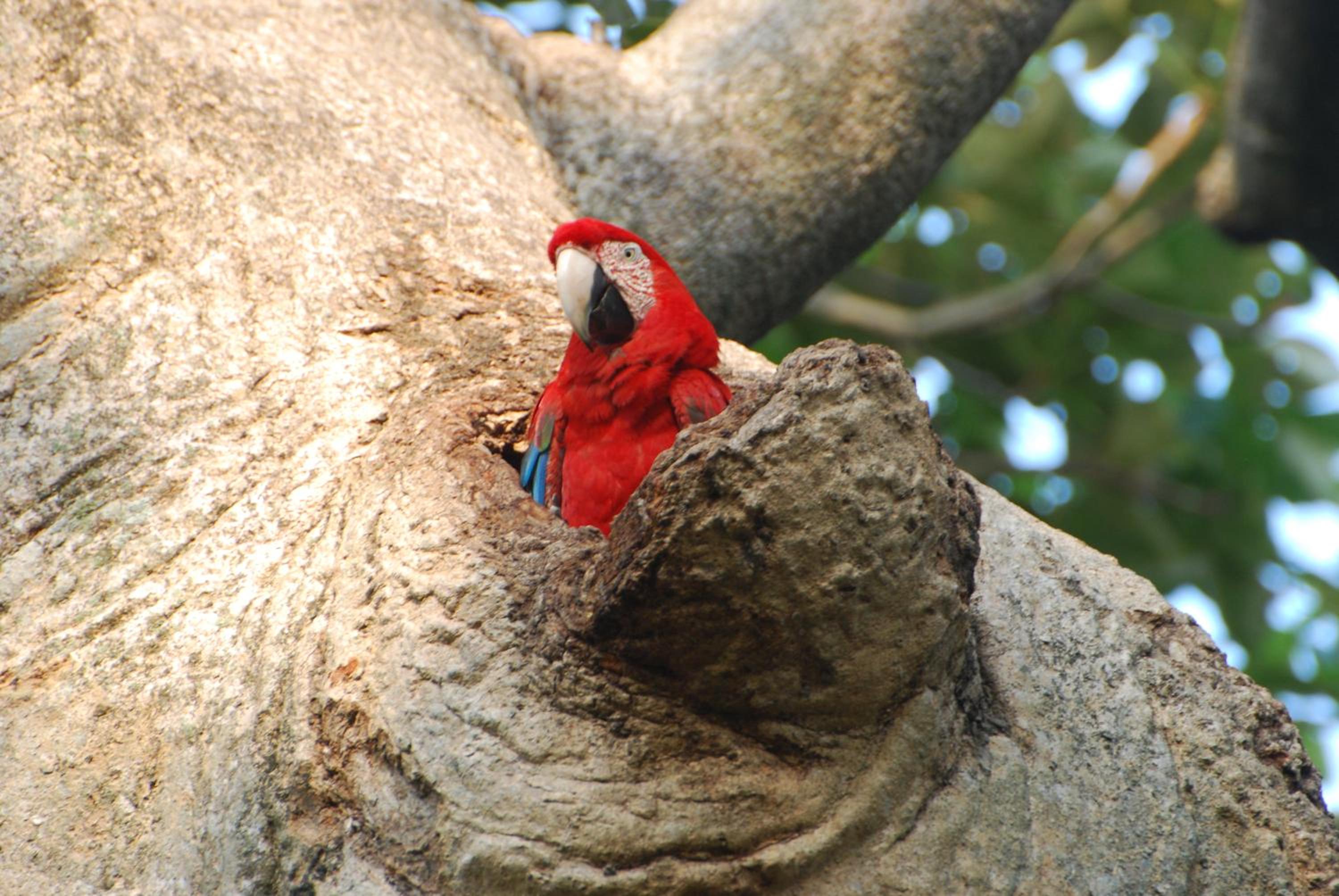 Hostel Camping Road Park Pantanal Sul